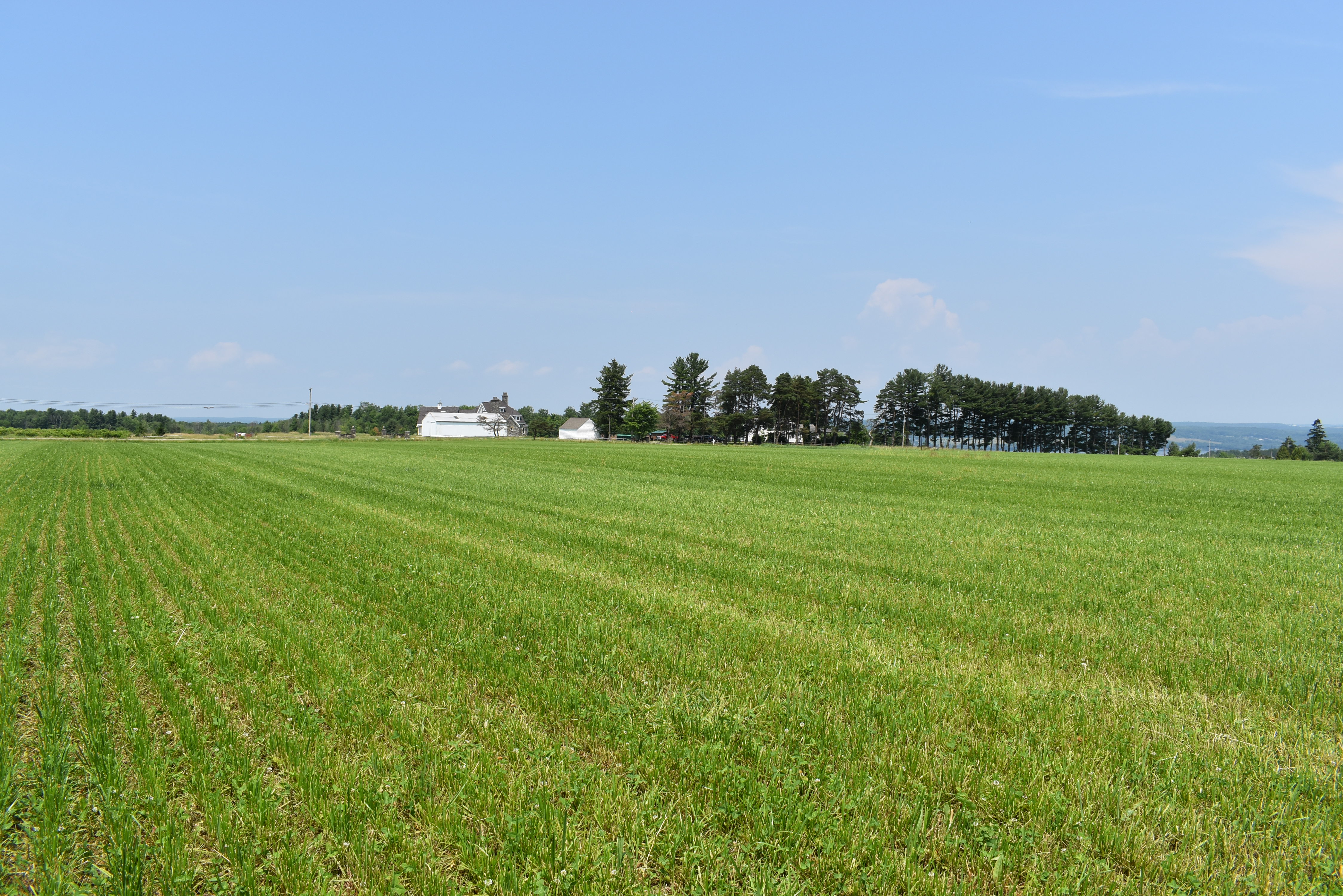 Listing Image 97