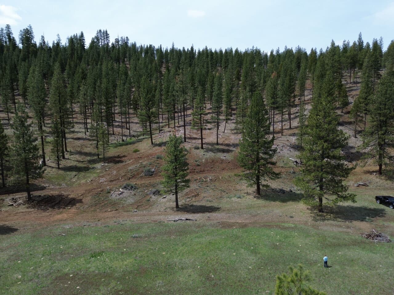 Johnson Creek Meadow
