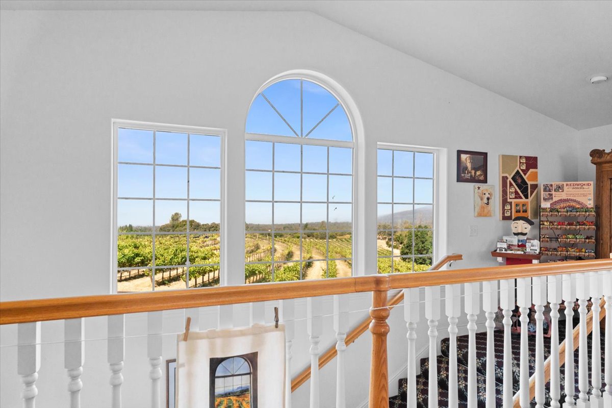 Alger Vineyards and More