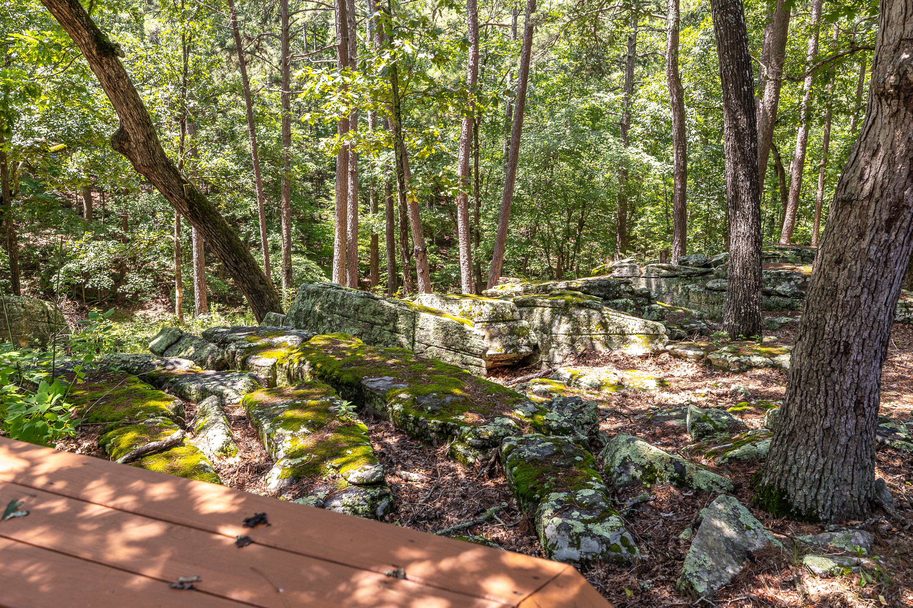 Boulder Pine Hollow
