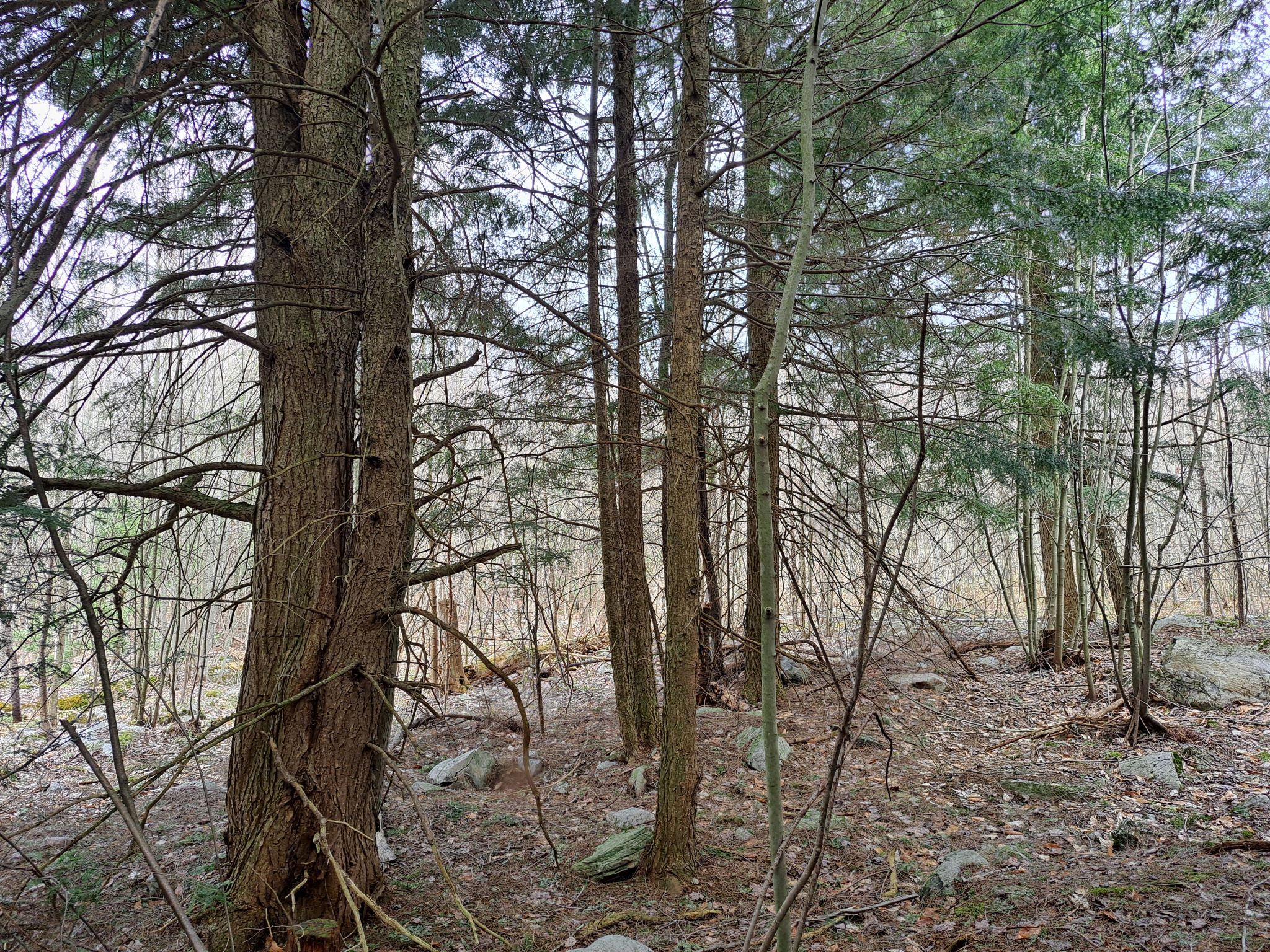 Listing Image 39