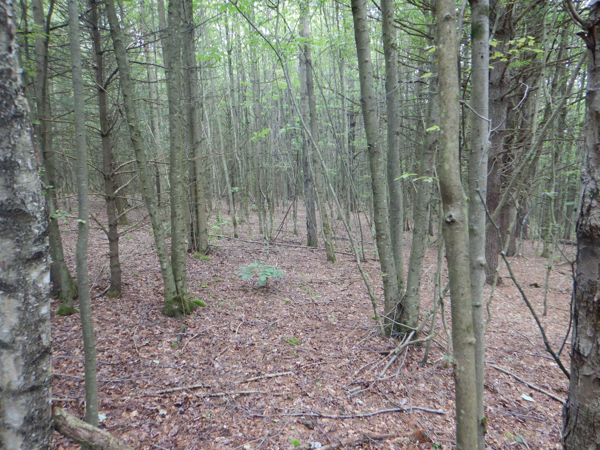 Listing Image 33