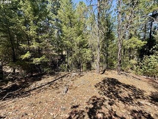 5 Acres-Hwy 238 Applegate, OR