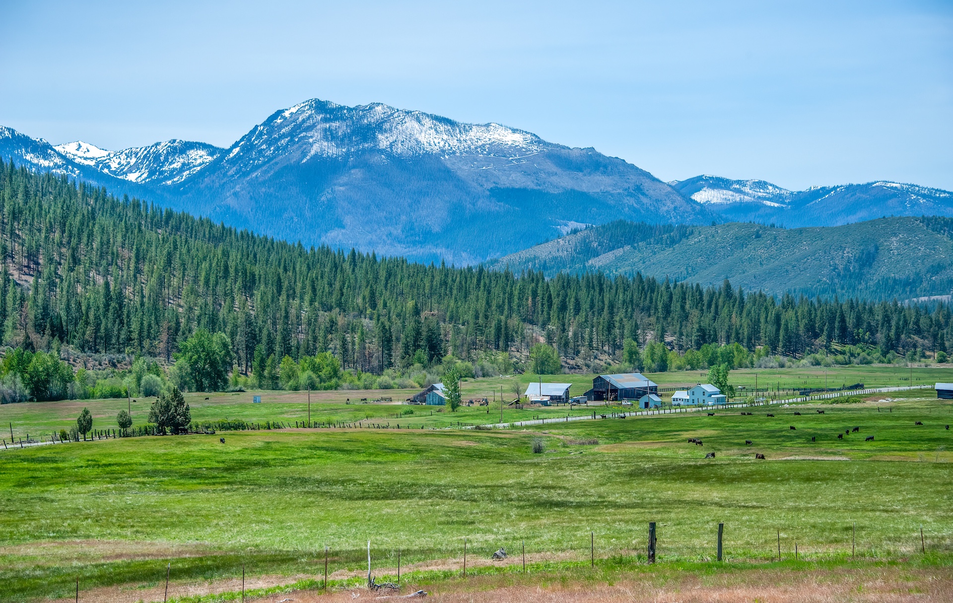 AP Ranch