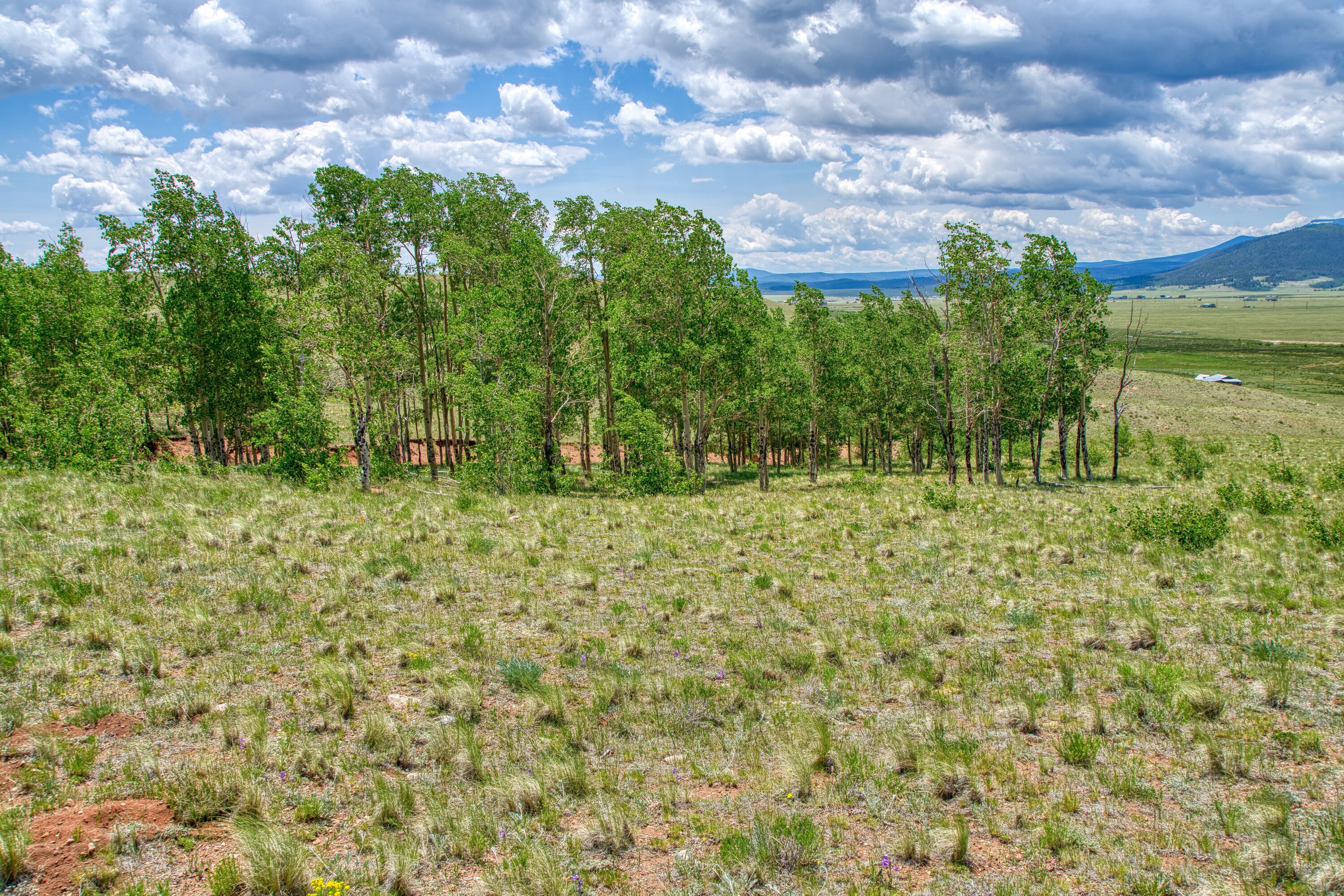 Meier Four Mile Ranch