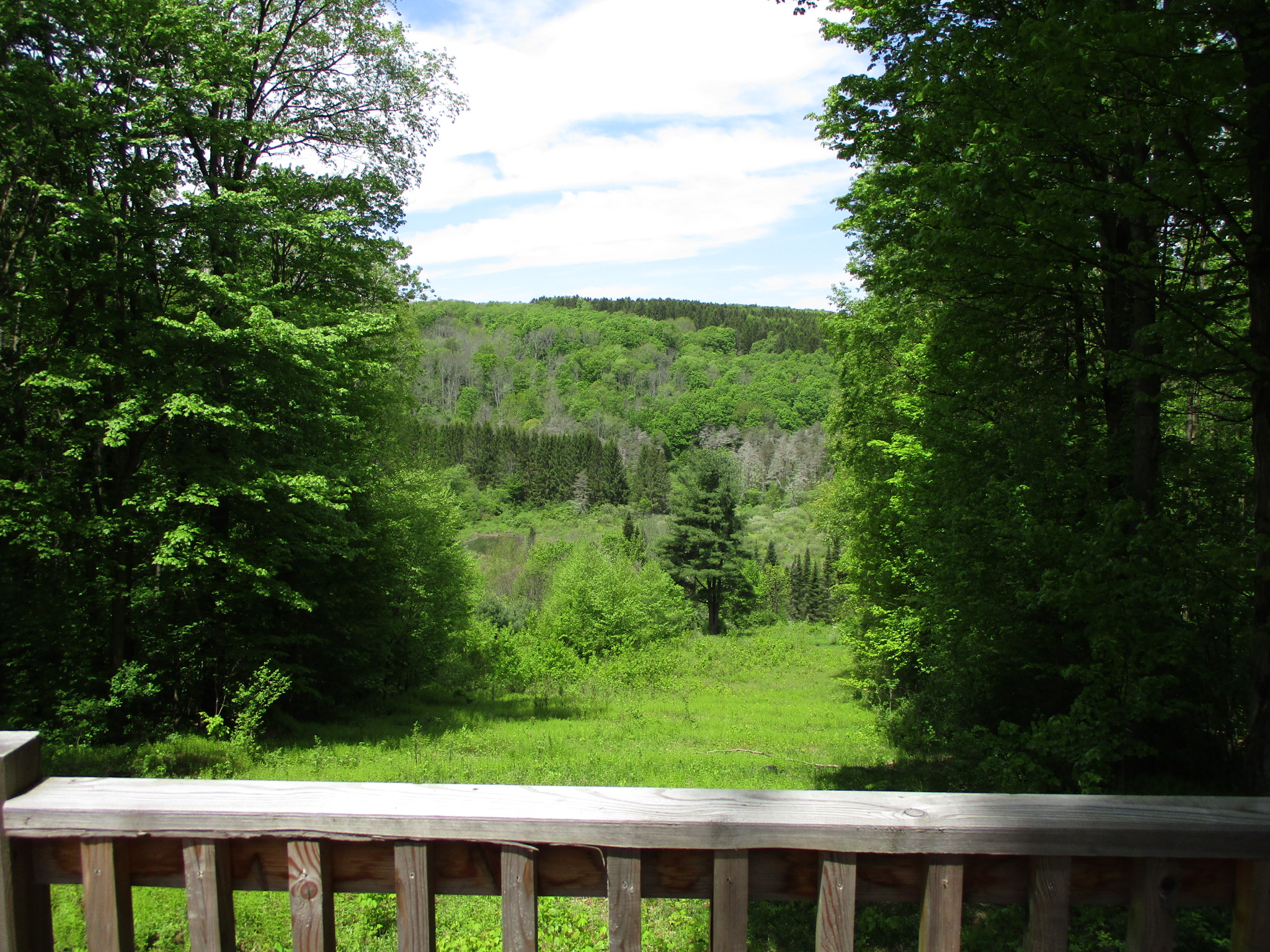 Legacy Land and Cabin