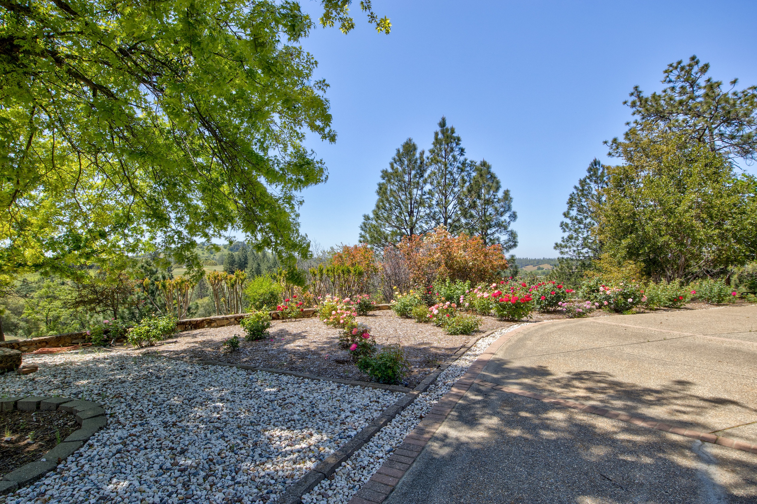 Listing Image 53