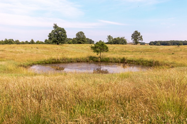 7 Pasture Farm