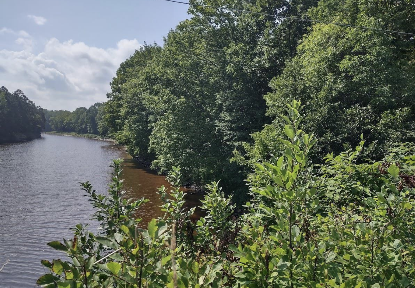 Riverfront with Superior Access 50187997