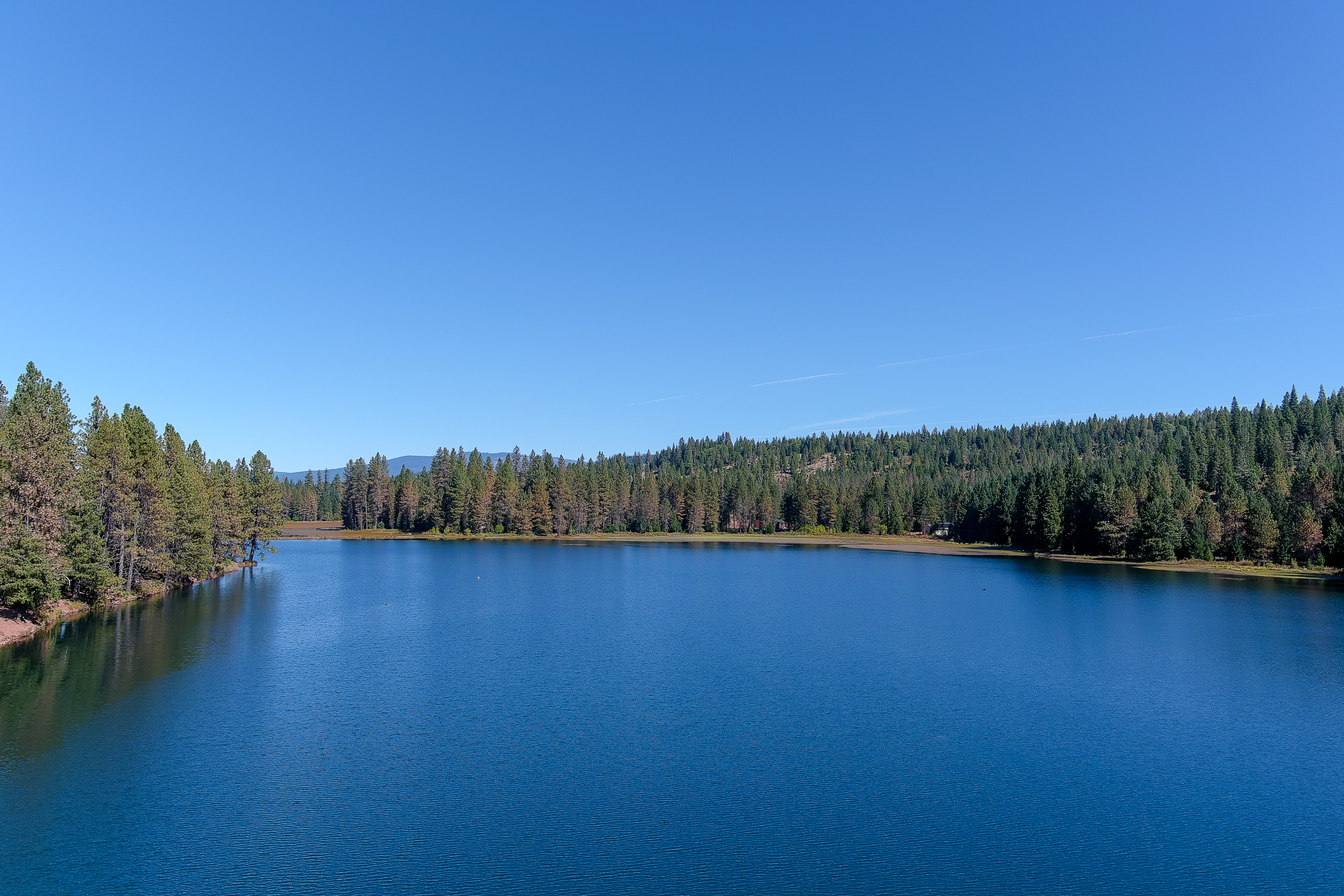 Medco Pond- Recreational Retreat
