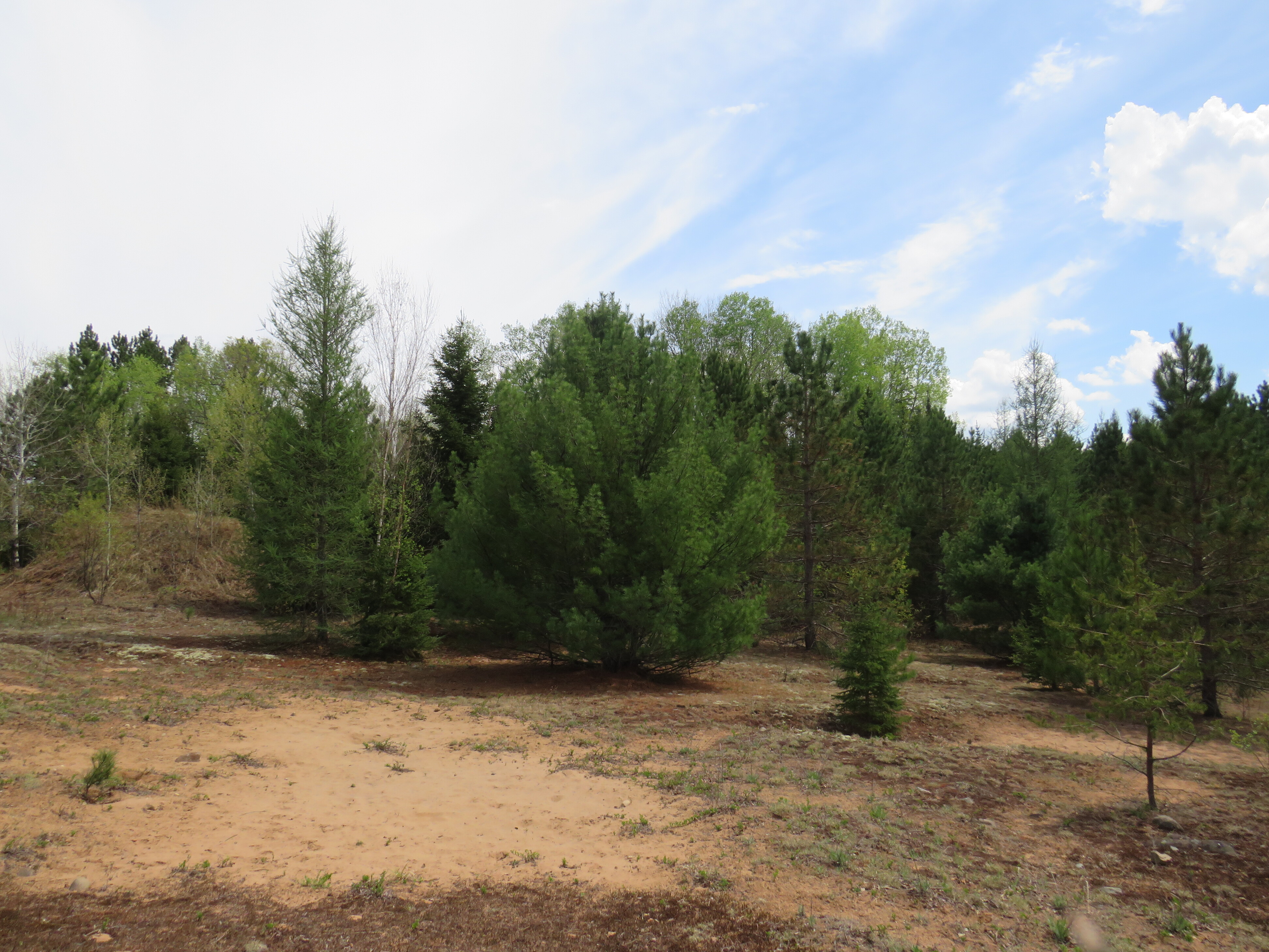 160 Acre Wilderness Retreat 50175391