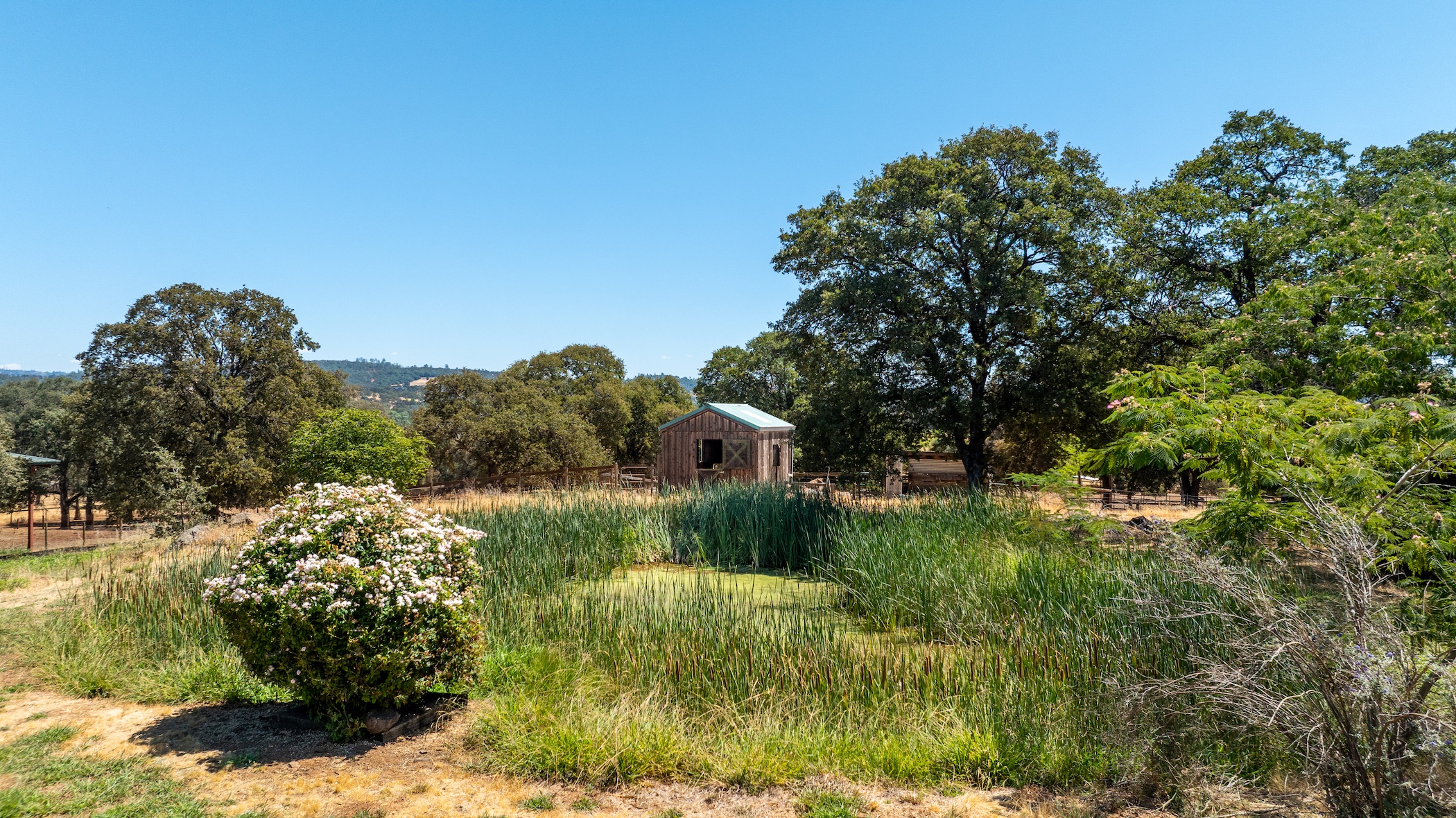 Blue Fountain Farm