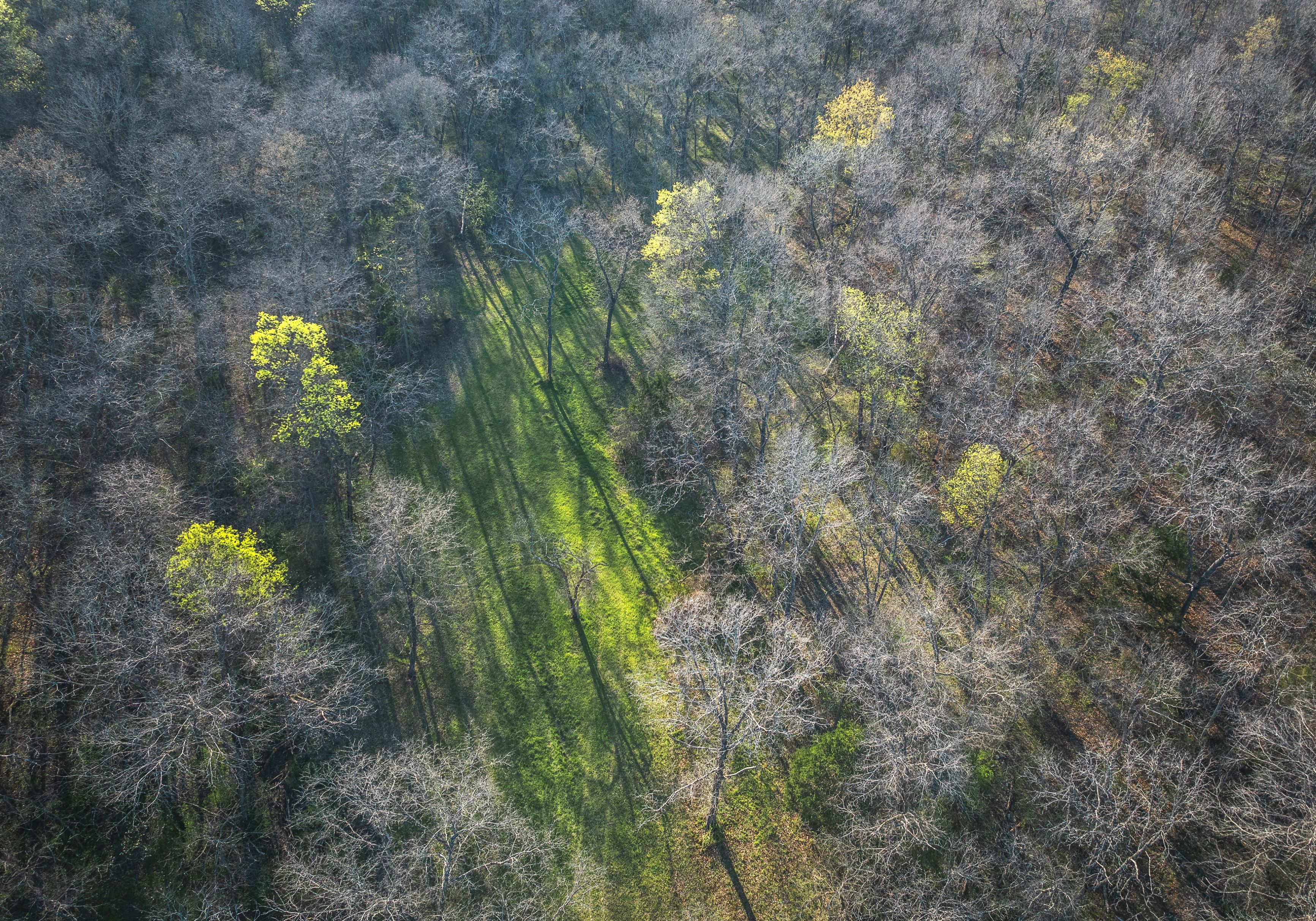 Meramec Paradise