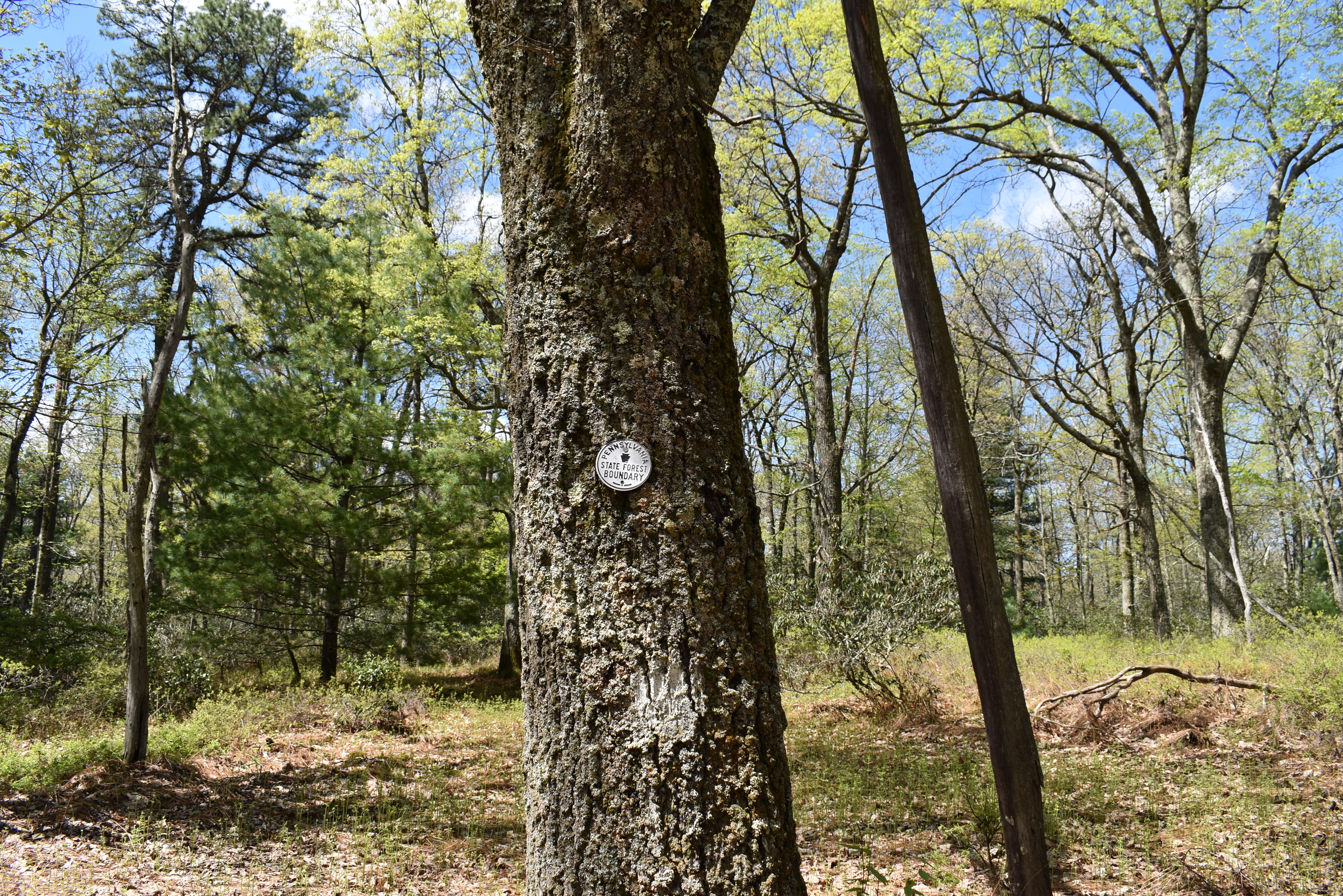 Grugan Hollow