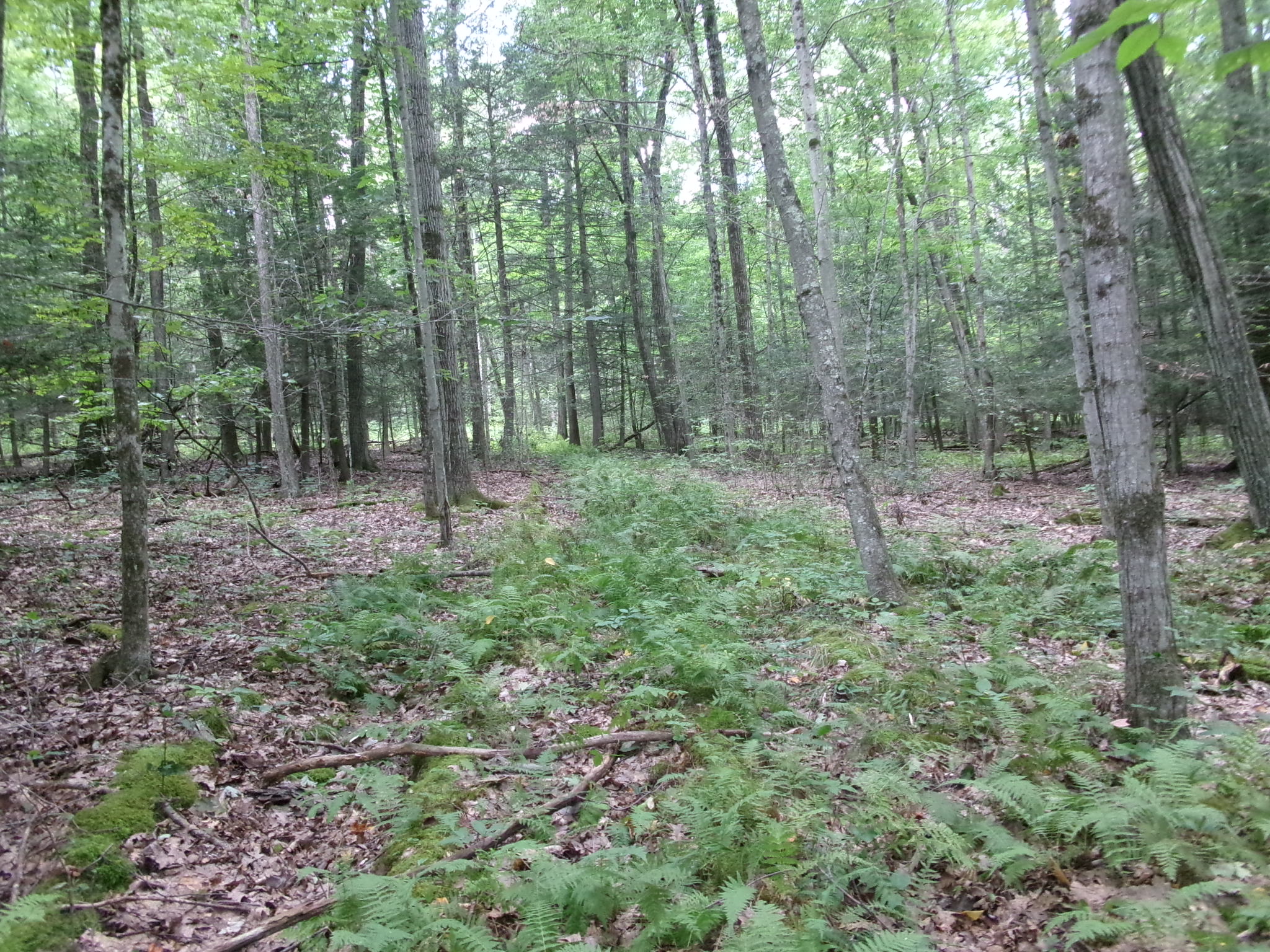 Listing Image 30