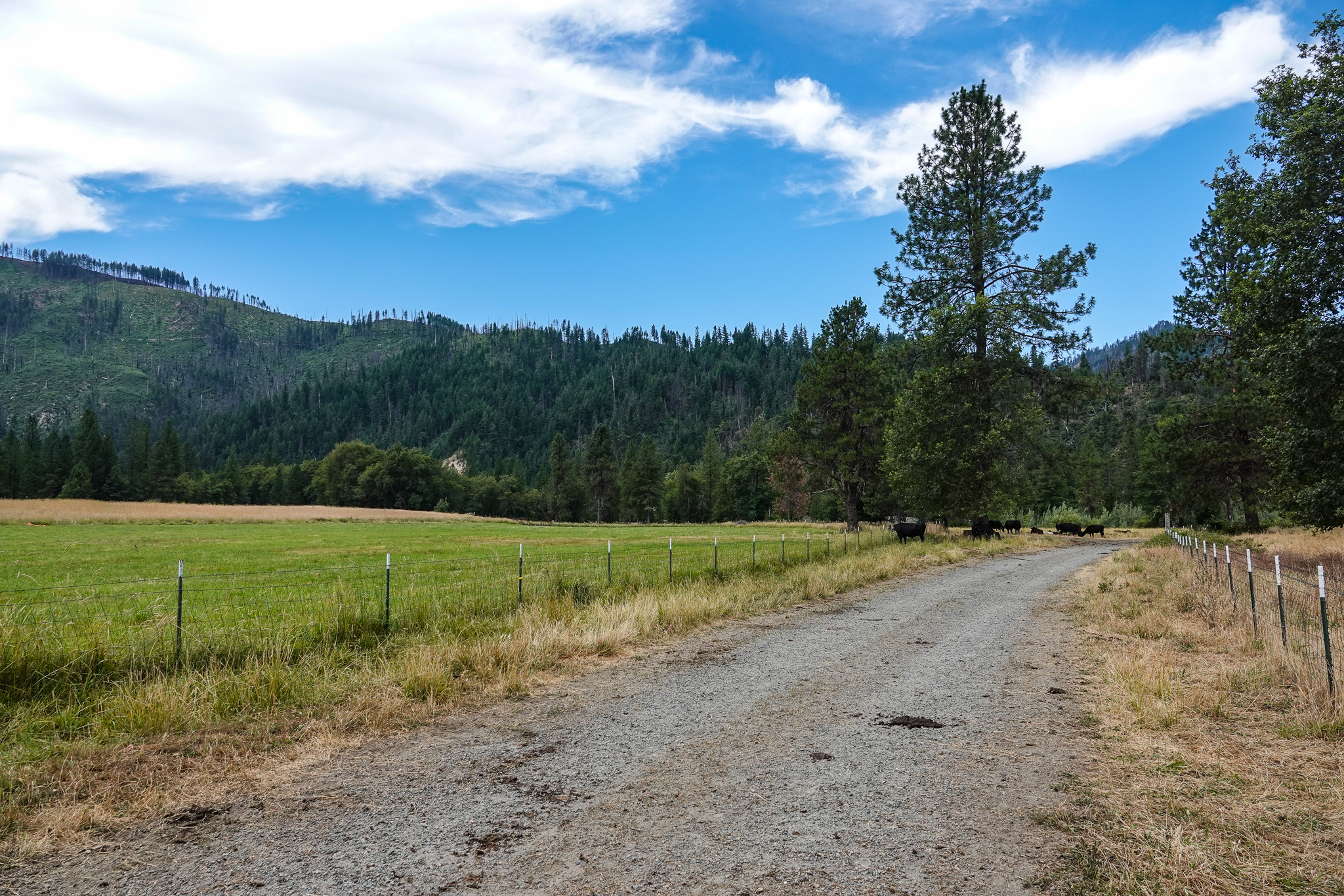 Listing Image 65