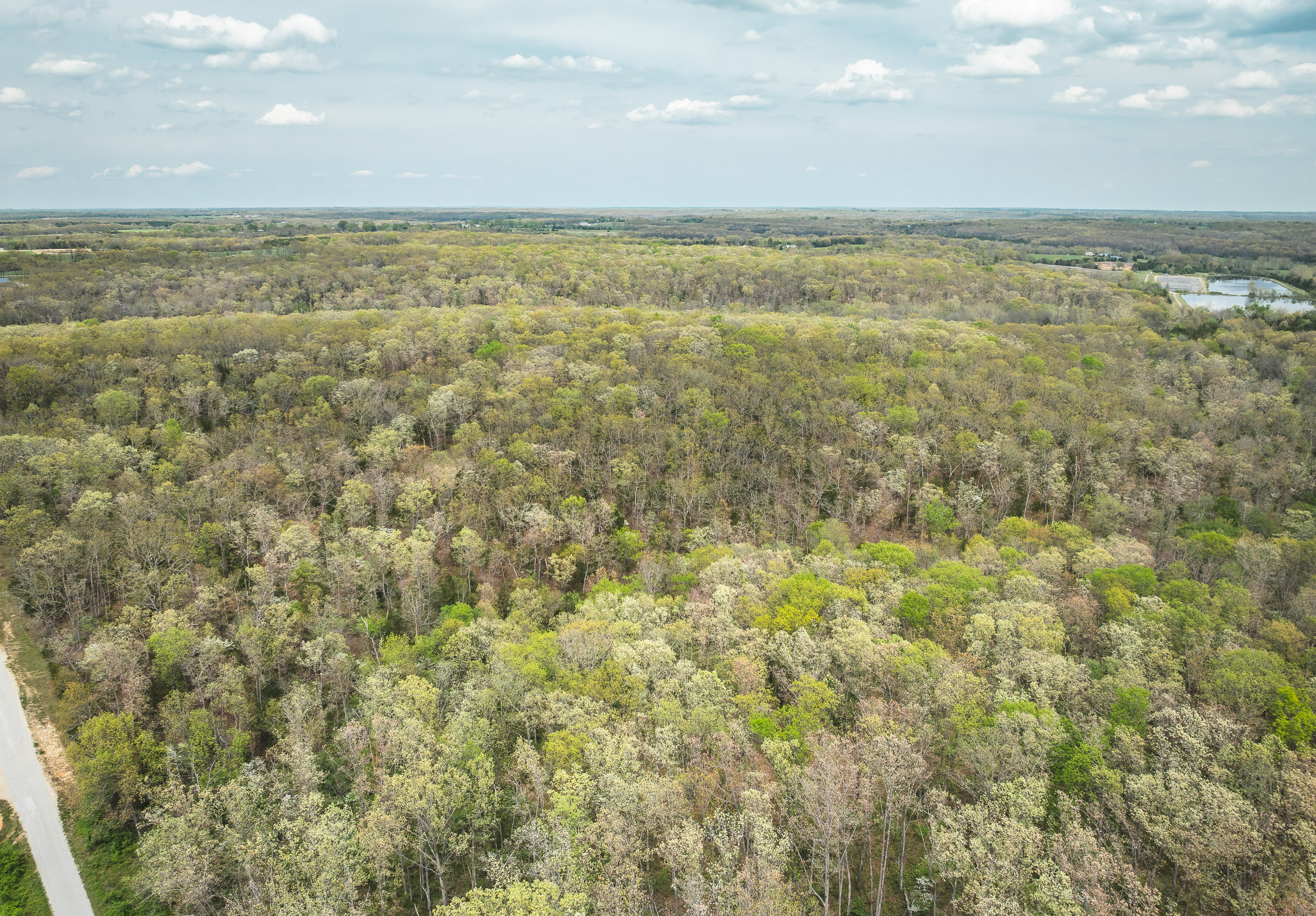 Buck Nest 37