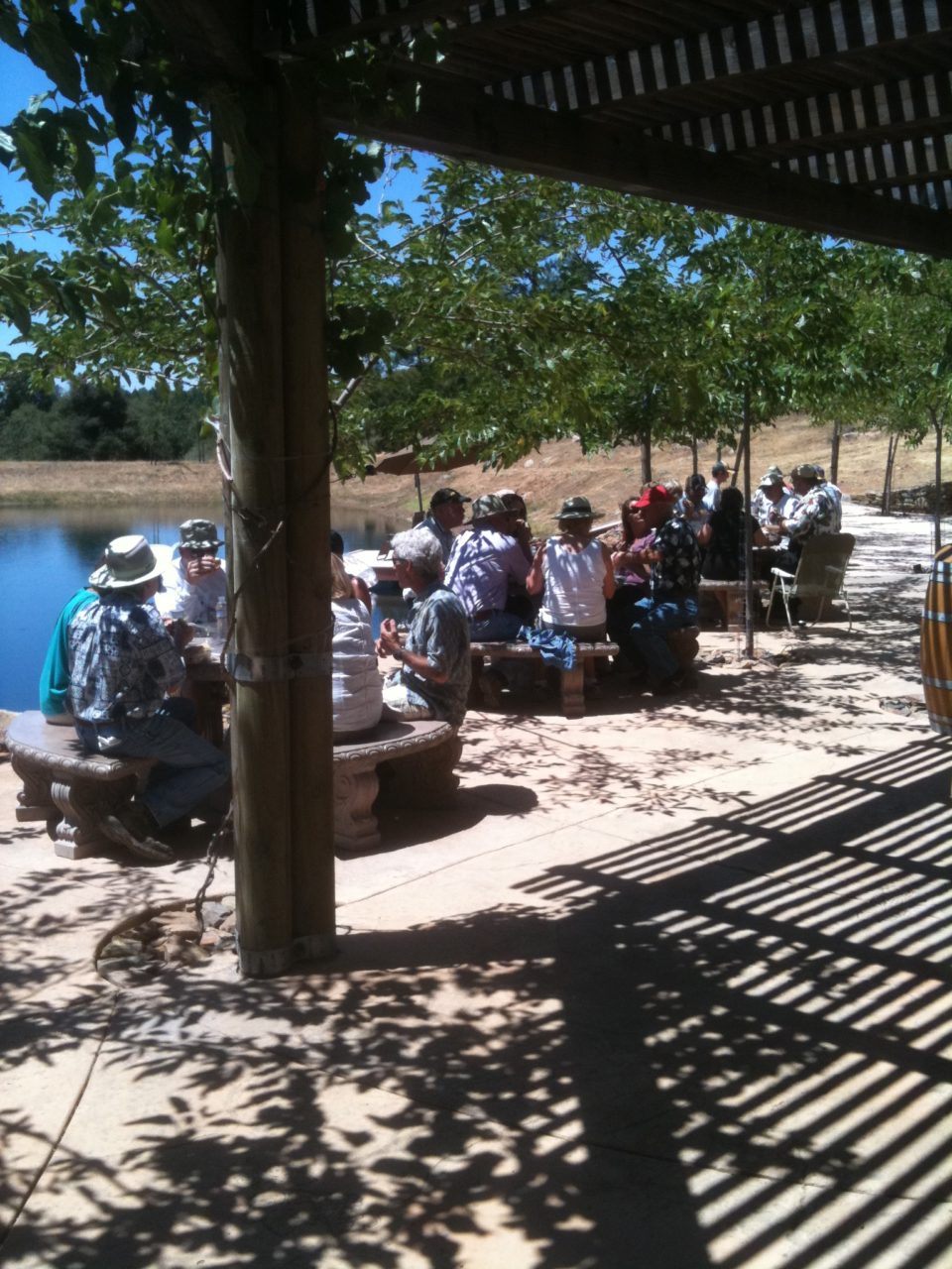 Tailem Bend Ranch and Vineyard