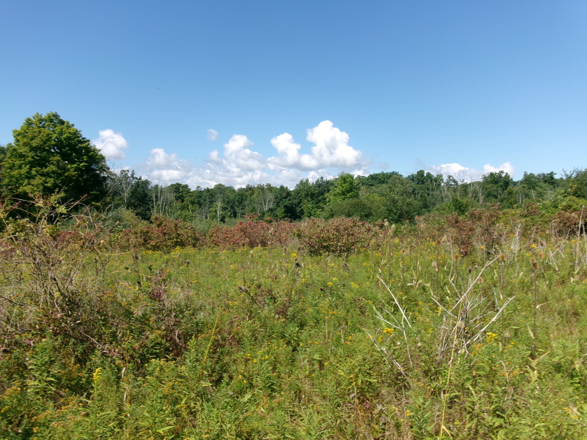 Listing Image 16