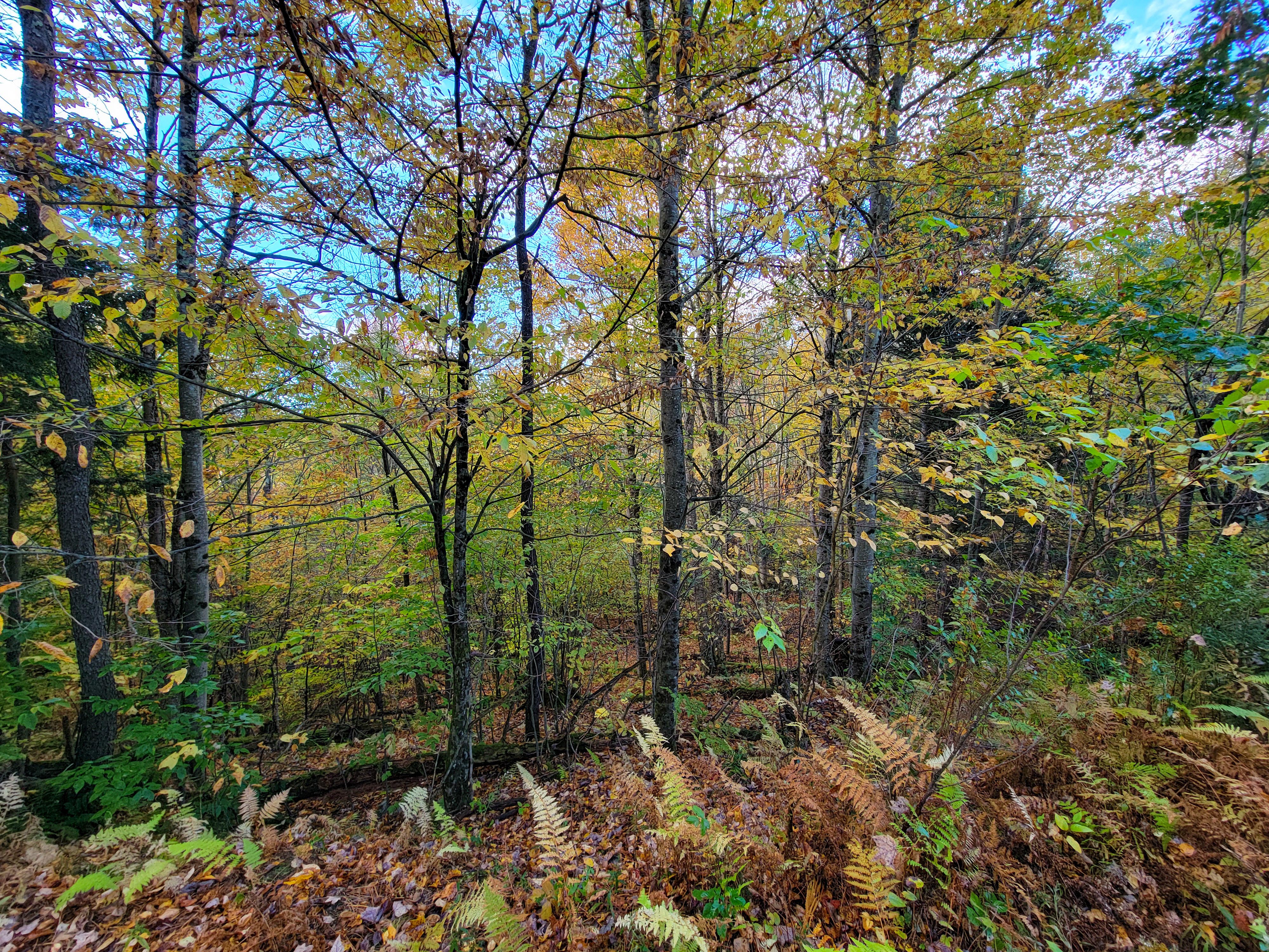 Listing Image 25