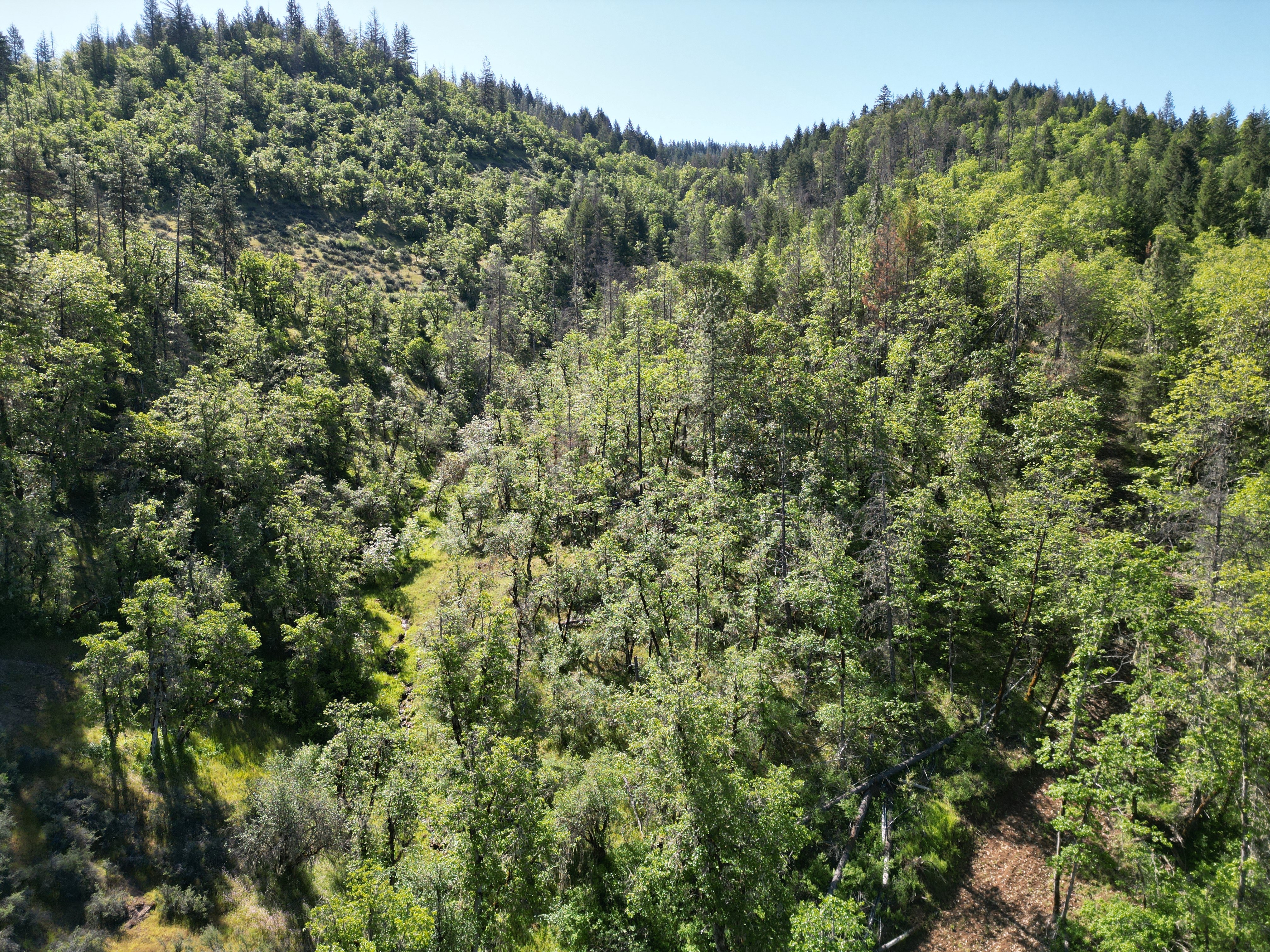 Elk Creek Road TL 2205