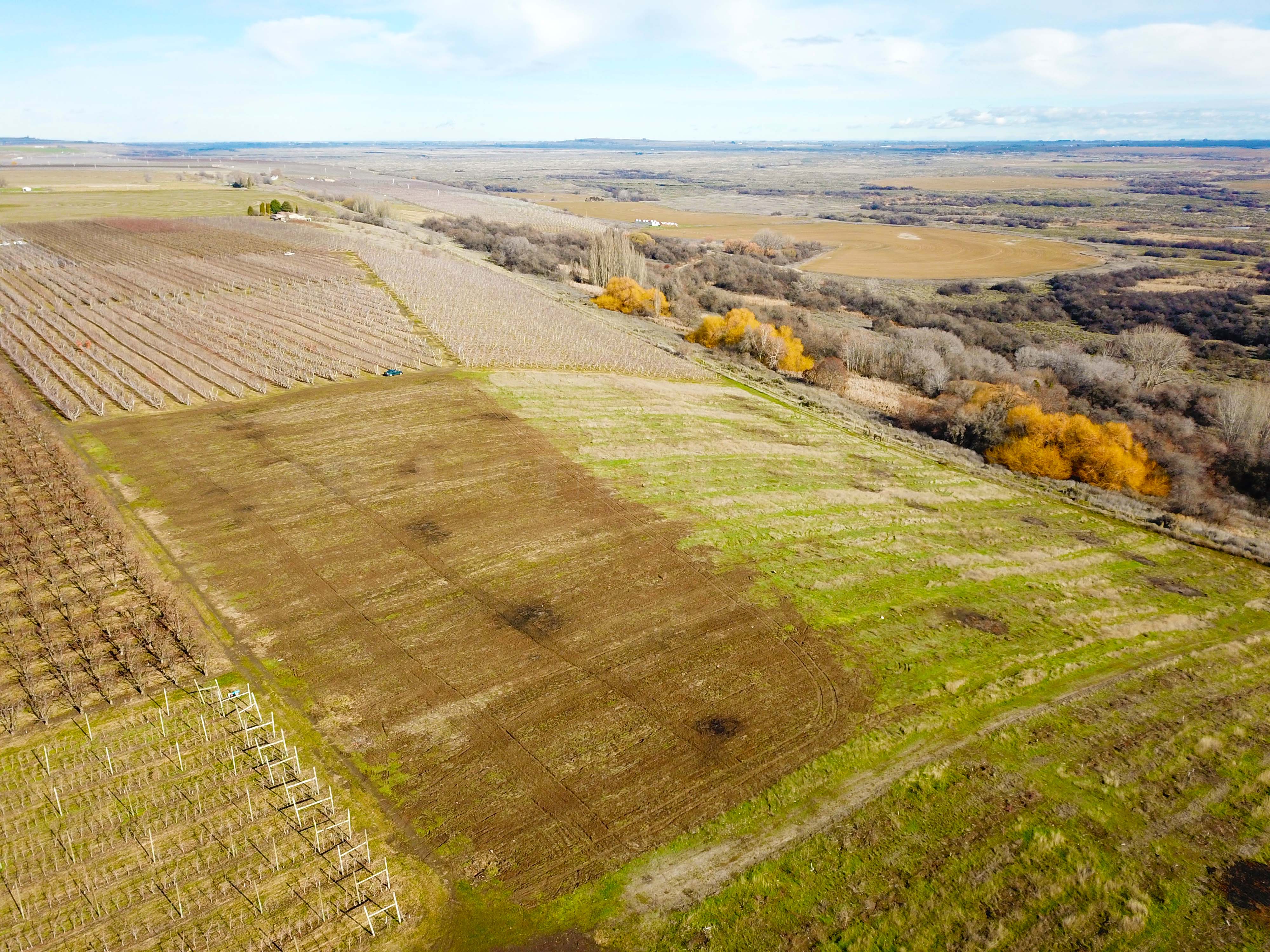 Best Price in County for Productive Orchard