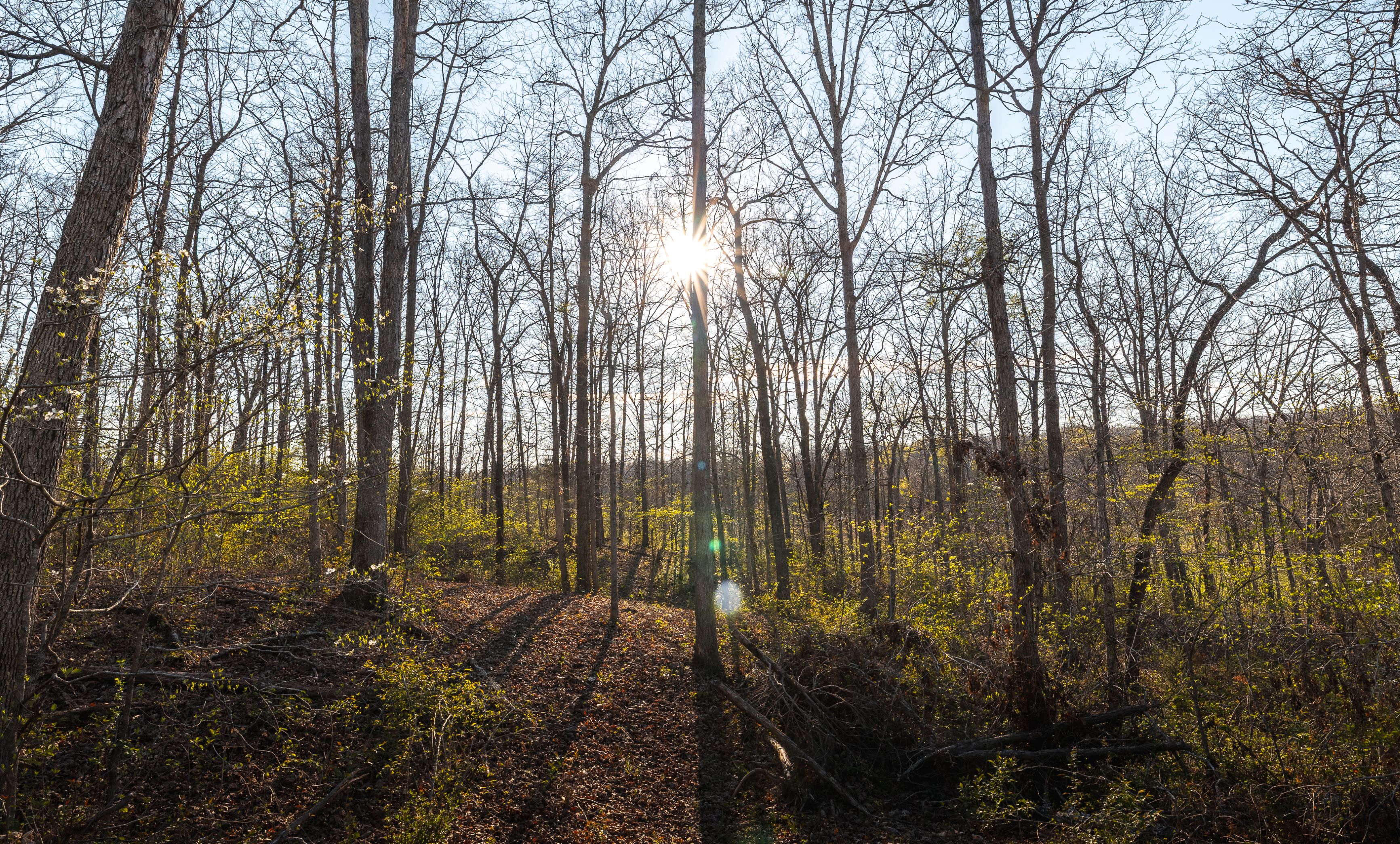 Meramec Paradise