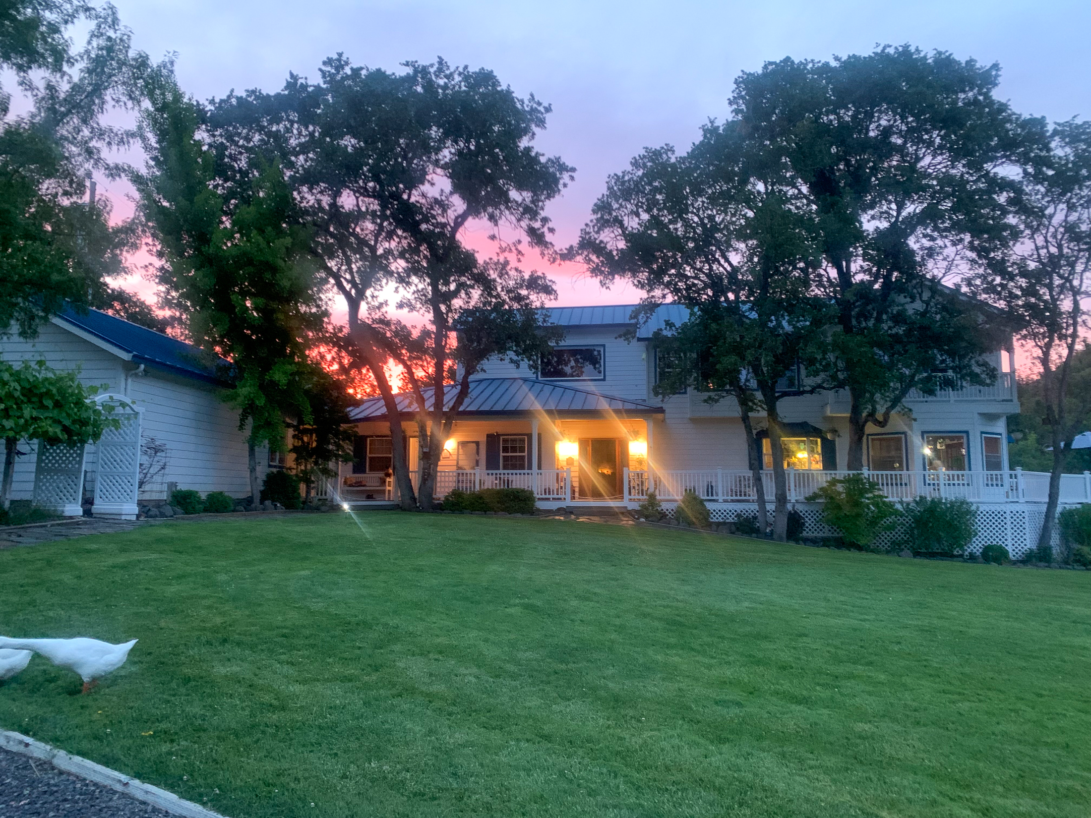 Listing Image 64