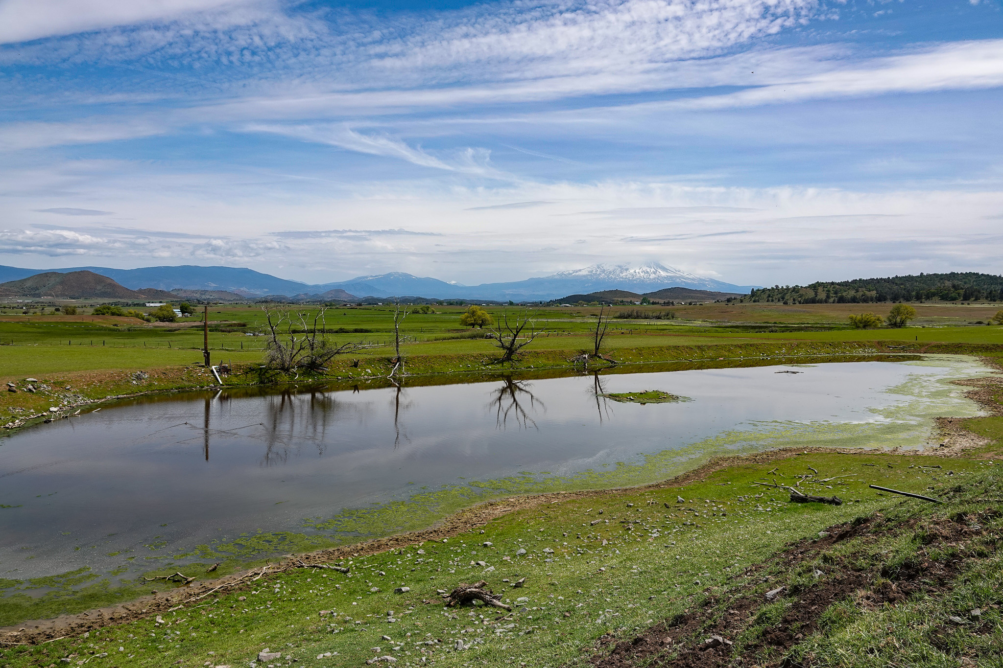 Lorenzini Ranch