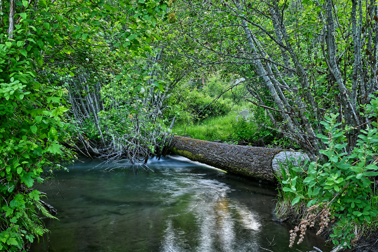 Inter Mountain Ranch