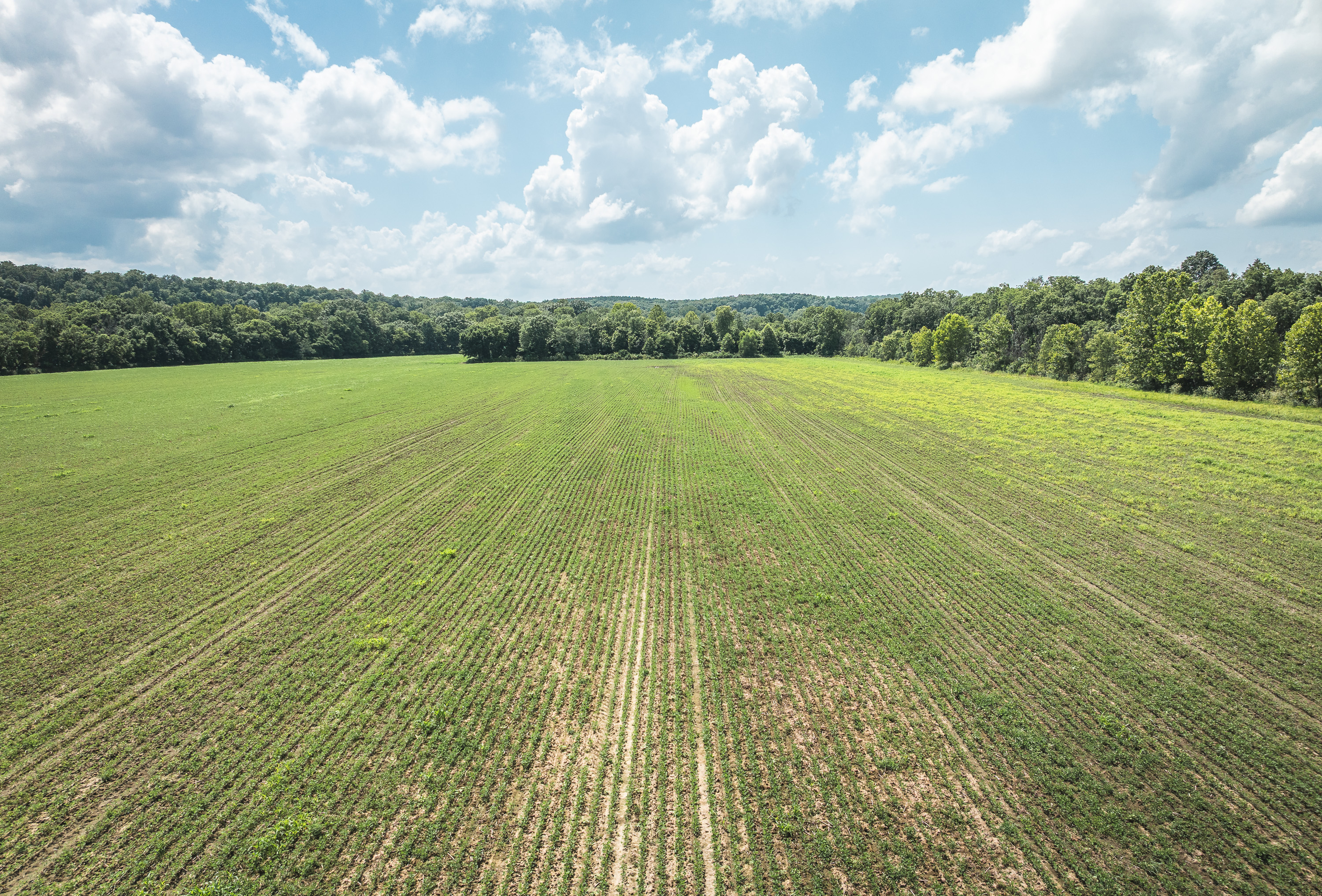 Gasconade Angus Ranch