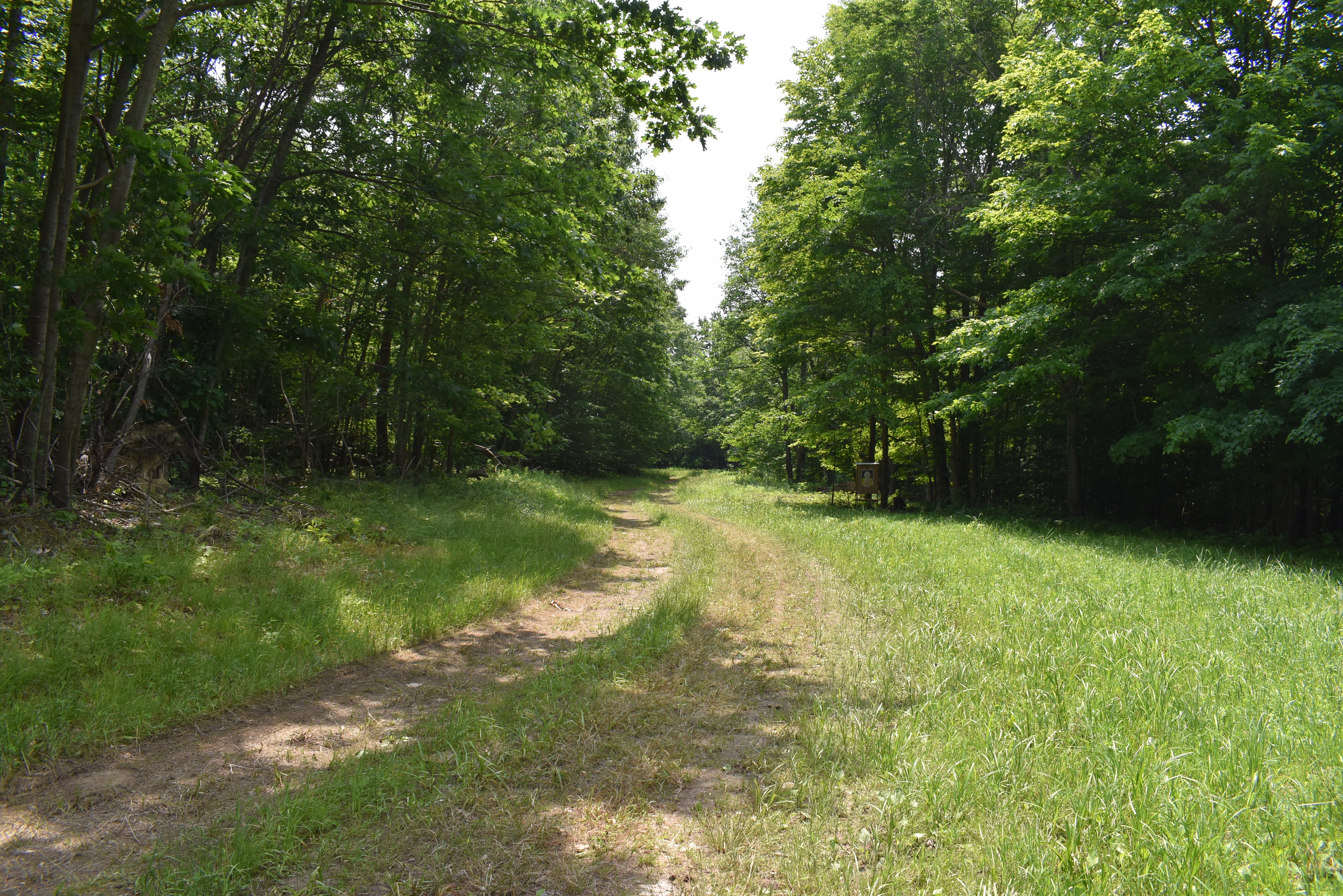 Listing Image 52