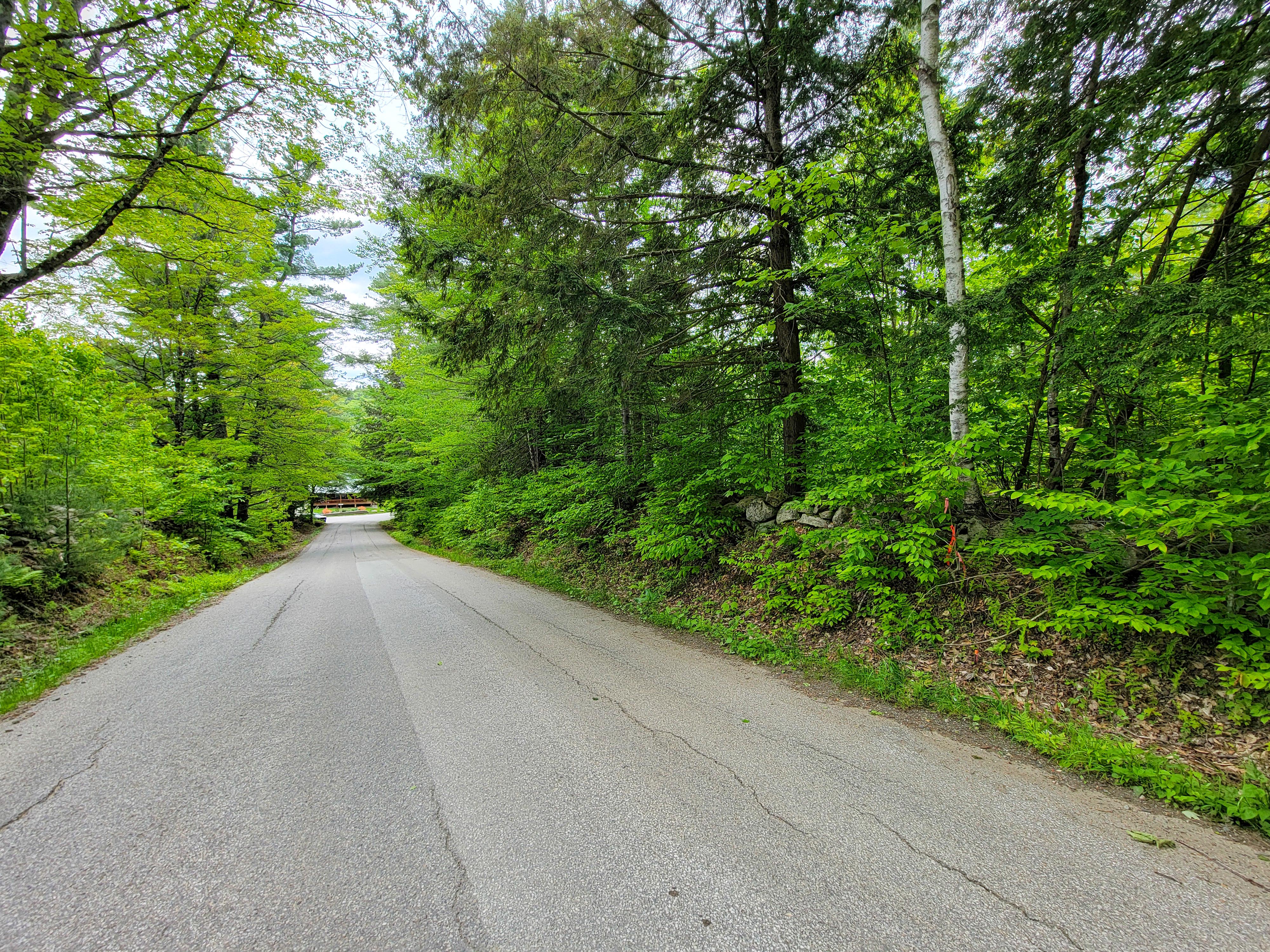 1105 South Hill Rd - Jamaica