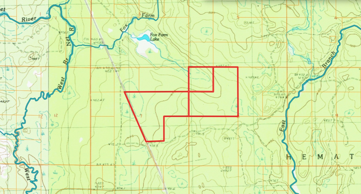 288 +/- Wooded Acreage 50175744