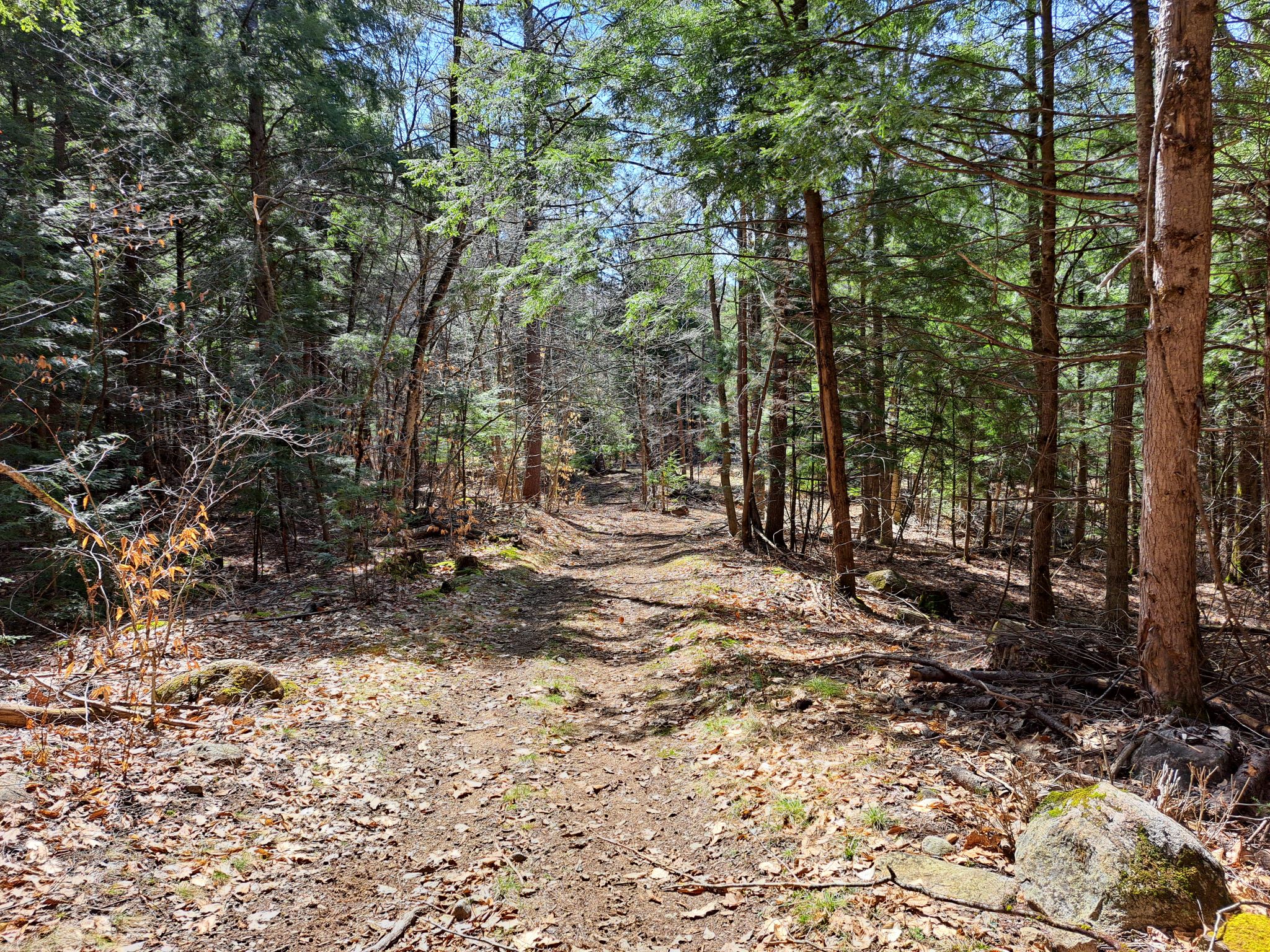 Listing Image 36