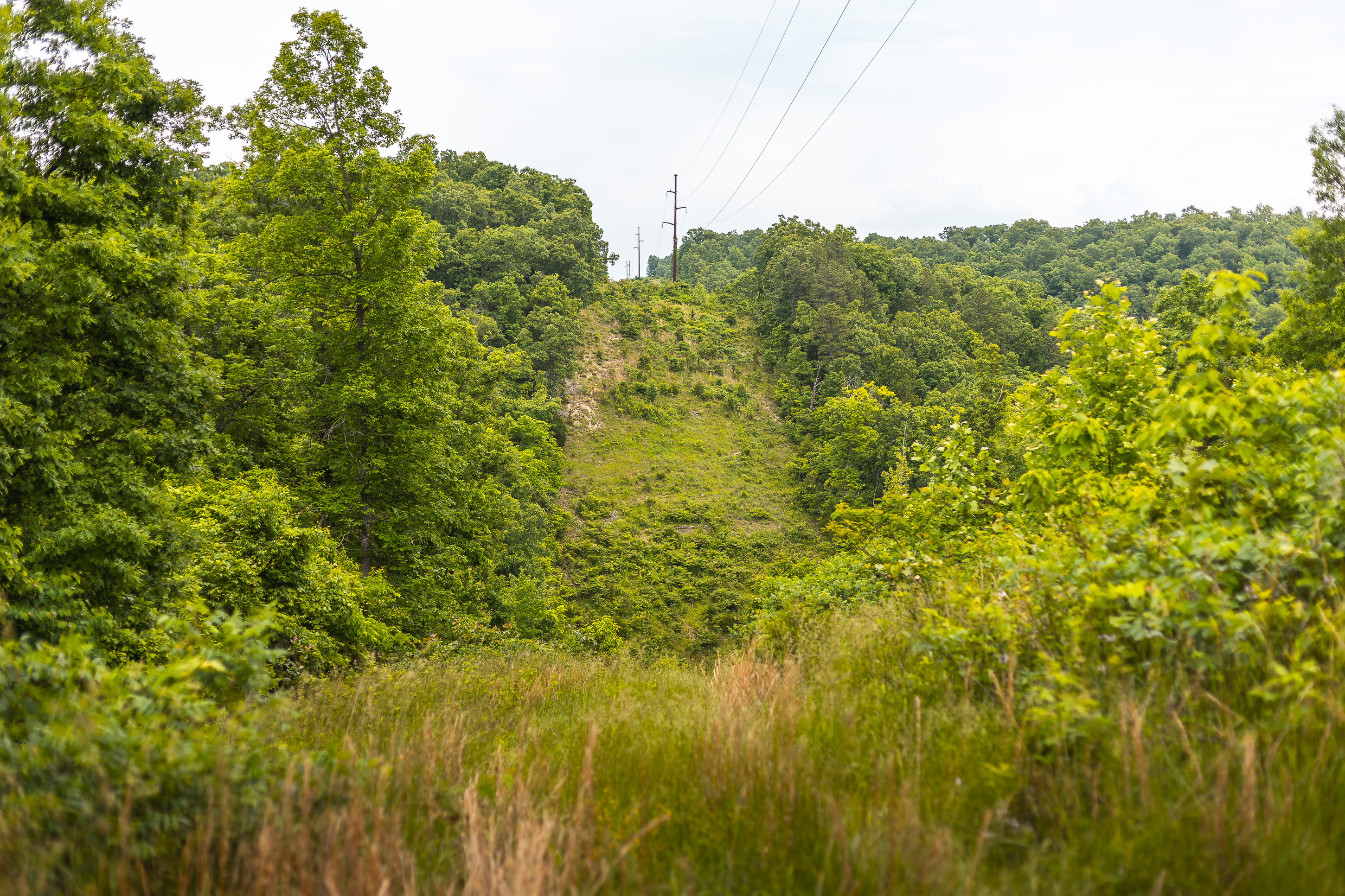 Long Ridge 700