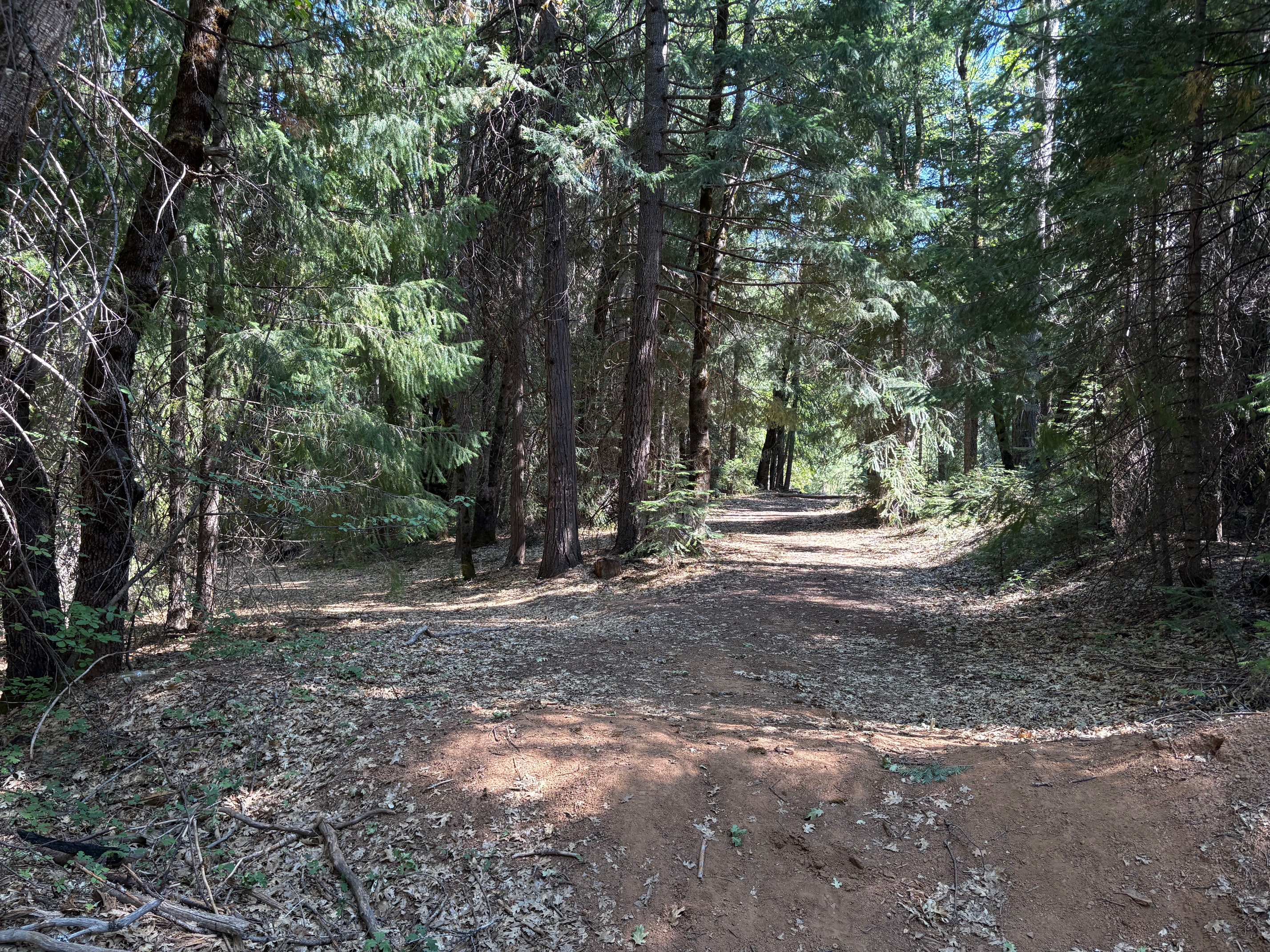 40 ACRES SISKIYOU (430)