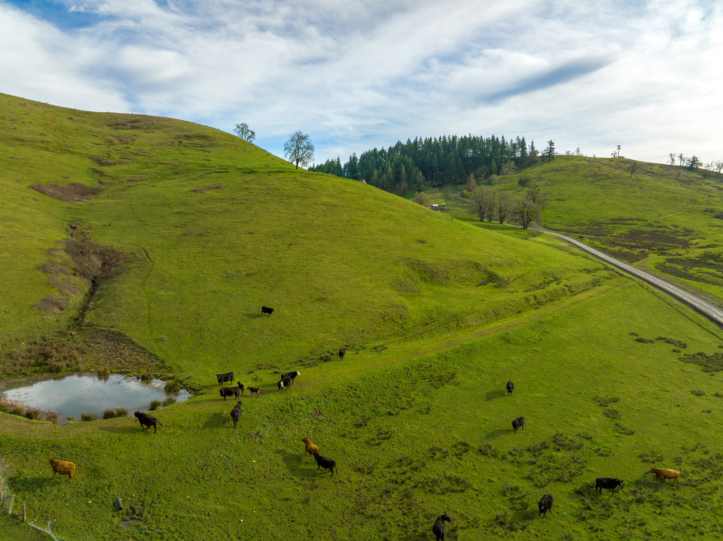 N Umpqua Ranch - 10181 N Umpqua Hwy
