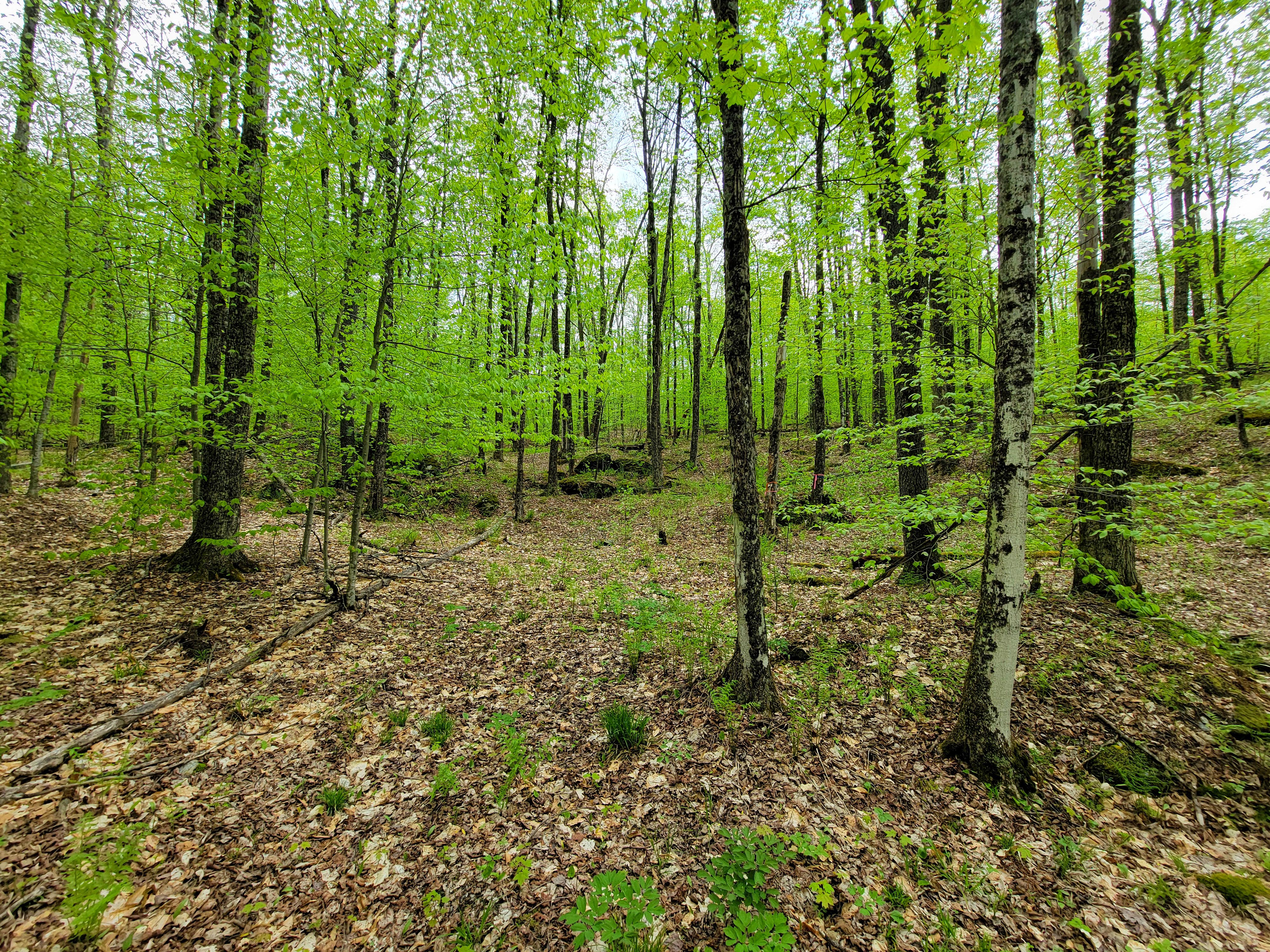 Listing Image 56