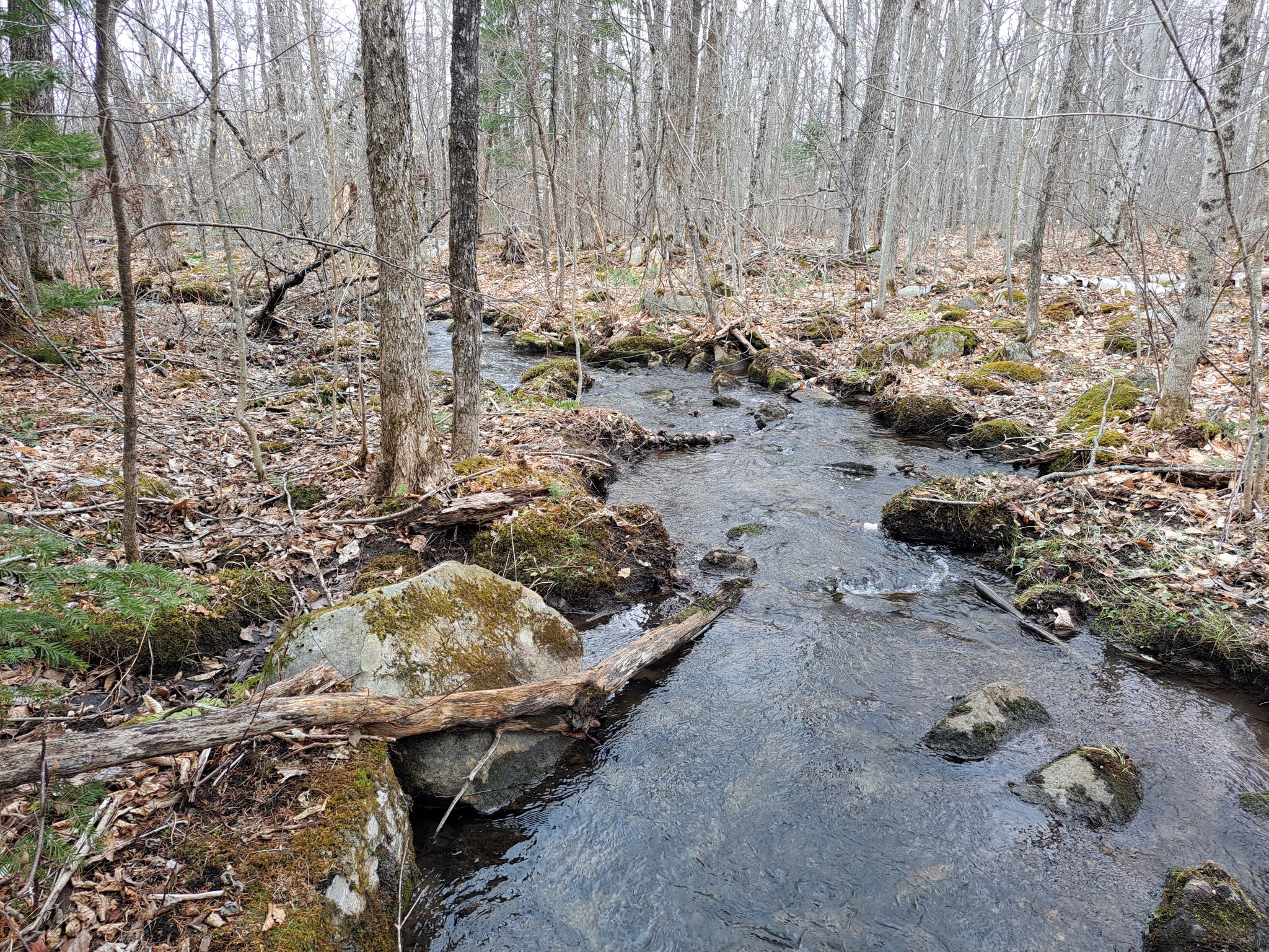 Listing Image 57