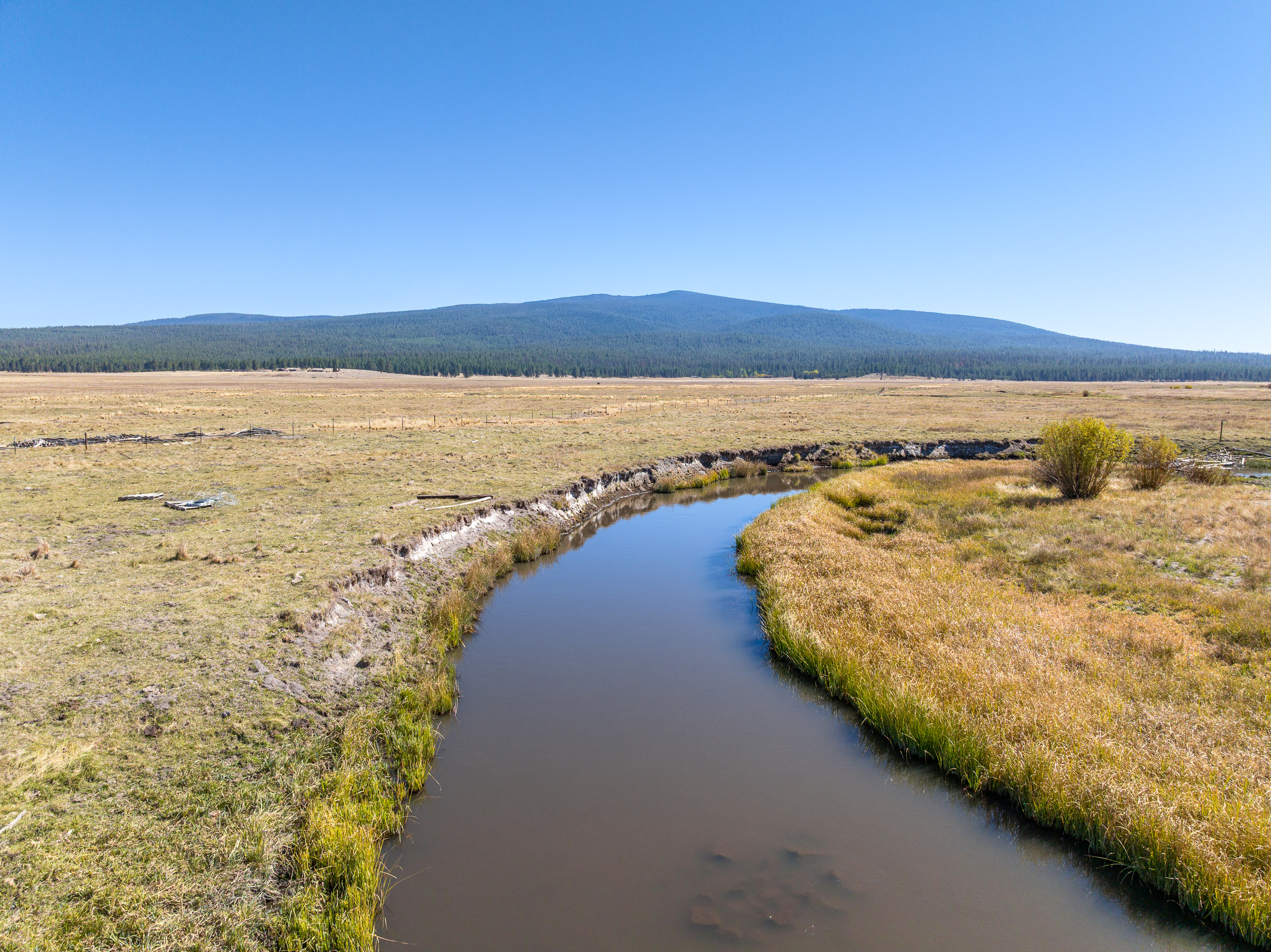 Listing Image 86