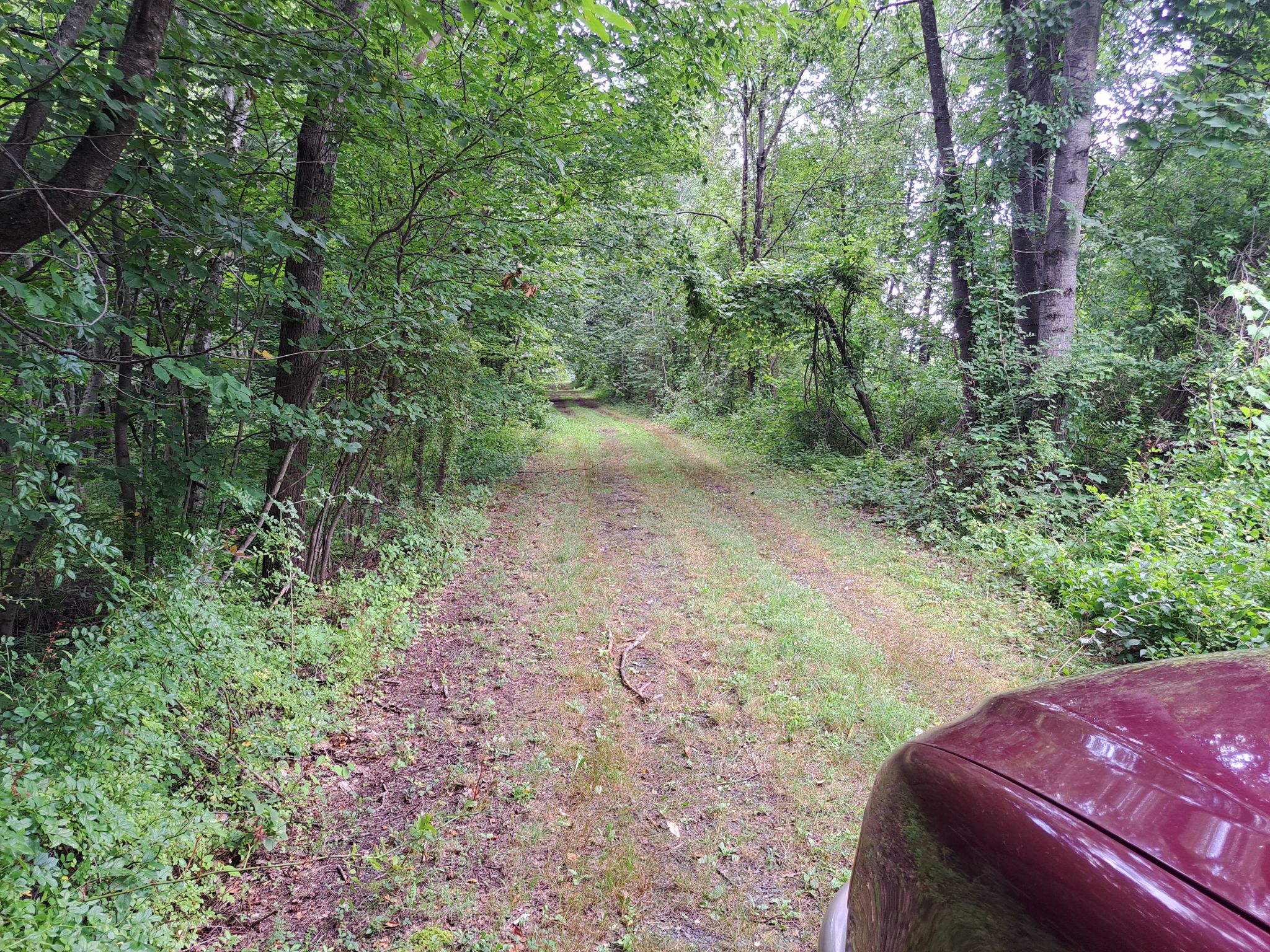Listing Image 72