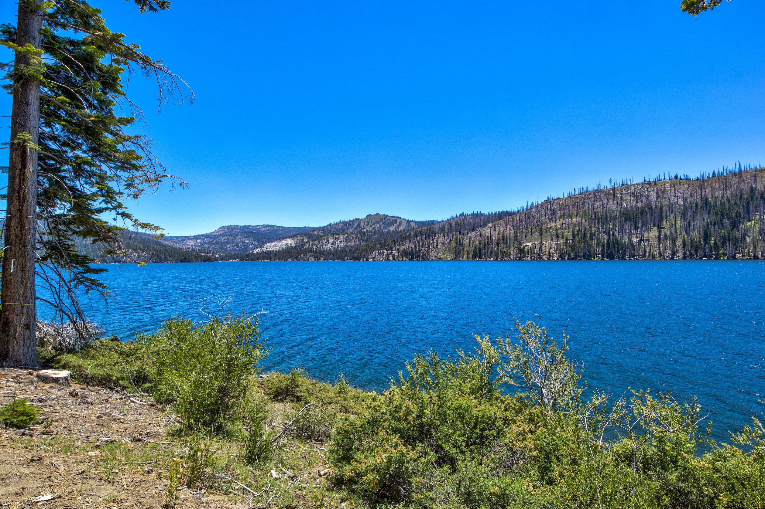 Listing Image 69
