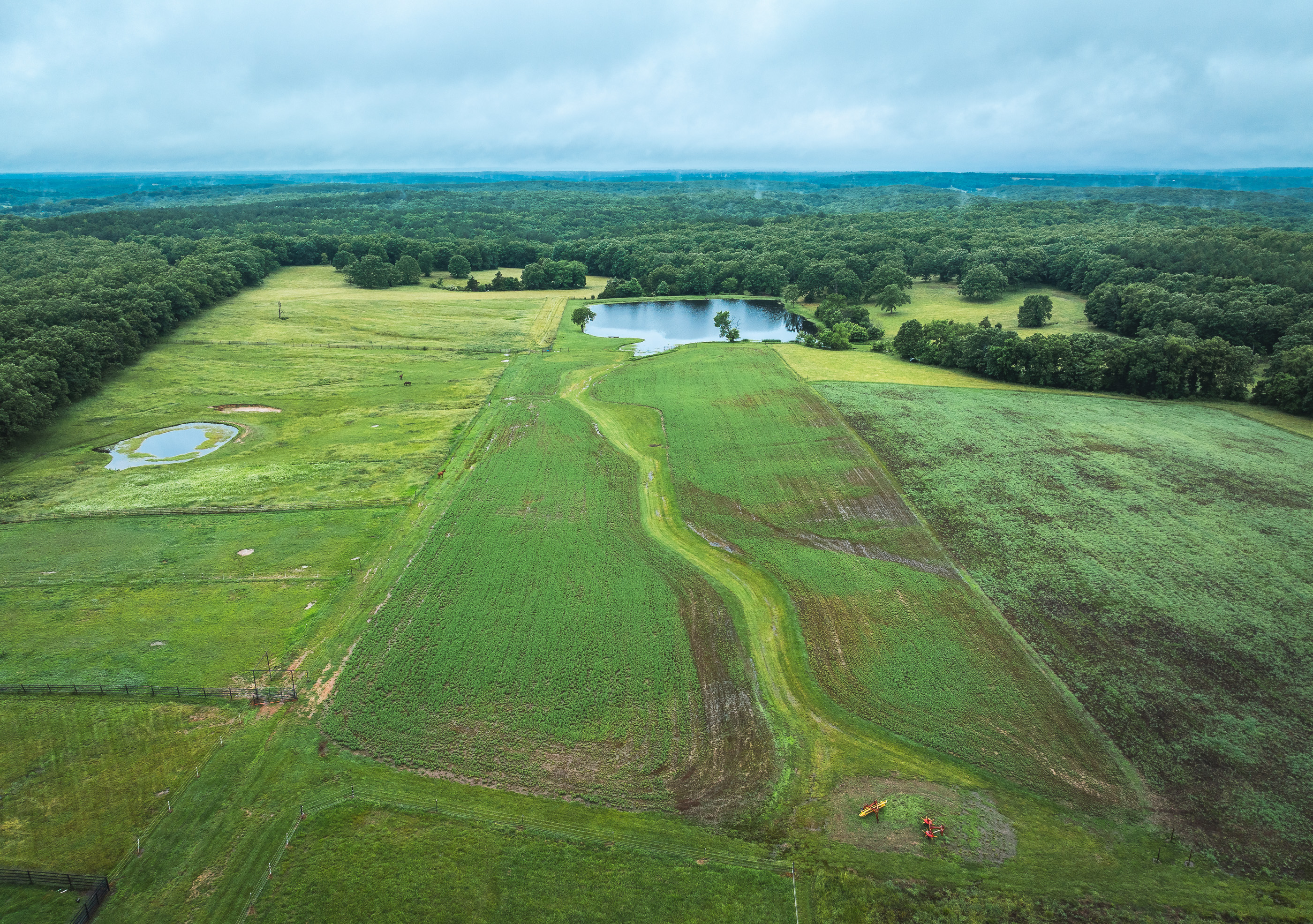 T-Cross Farm