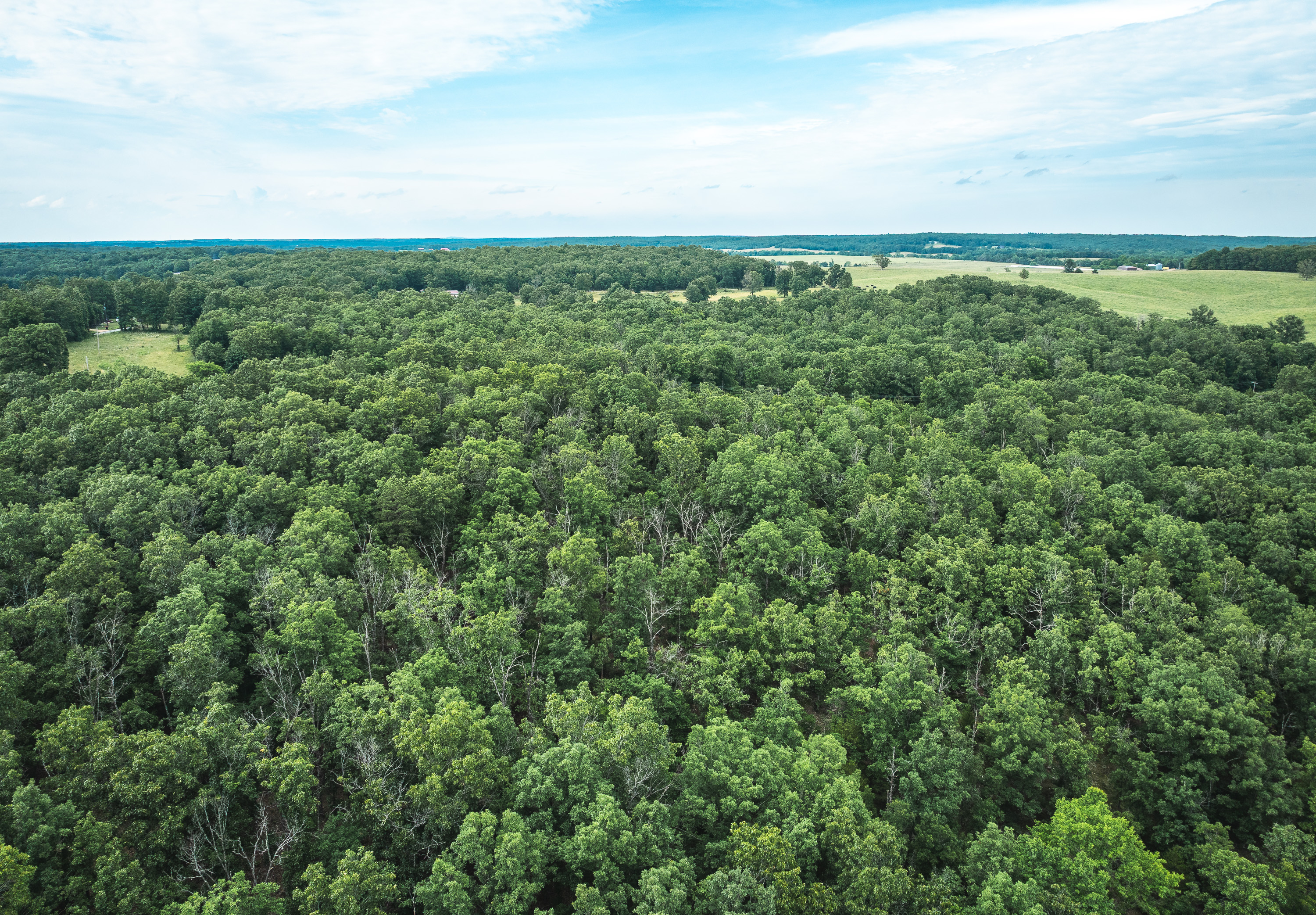 Kimble Glade