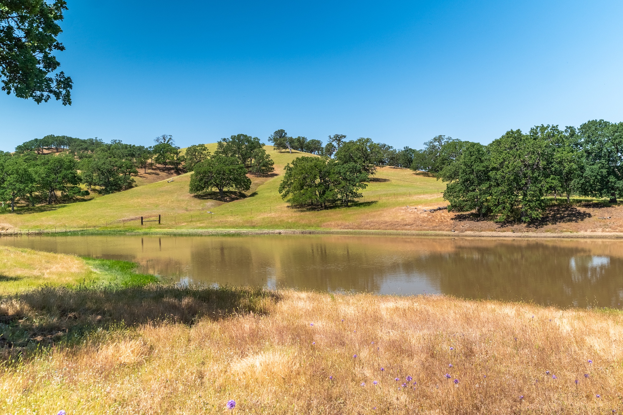 Franklin Ranch