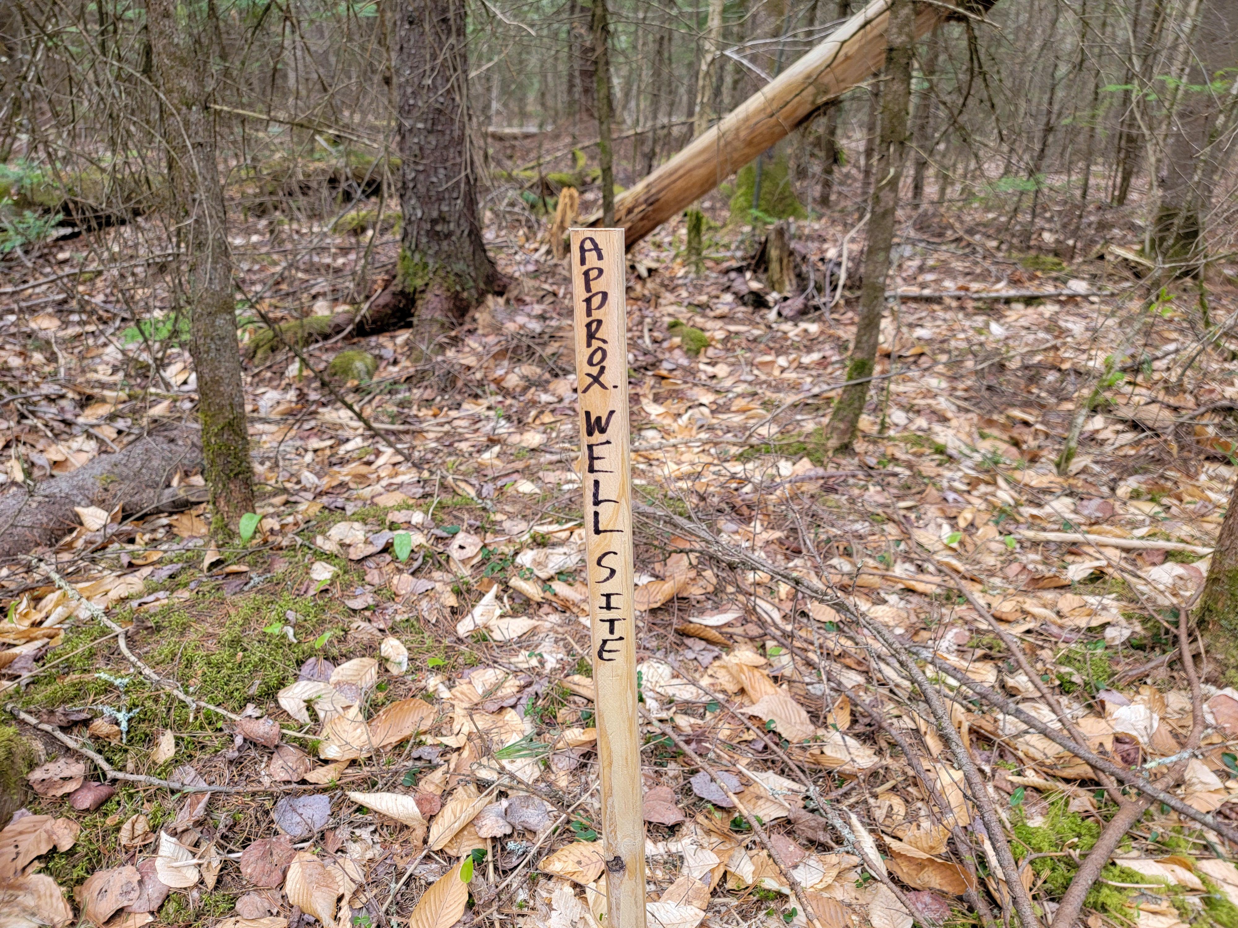 Listing Image 32