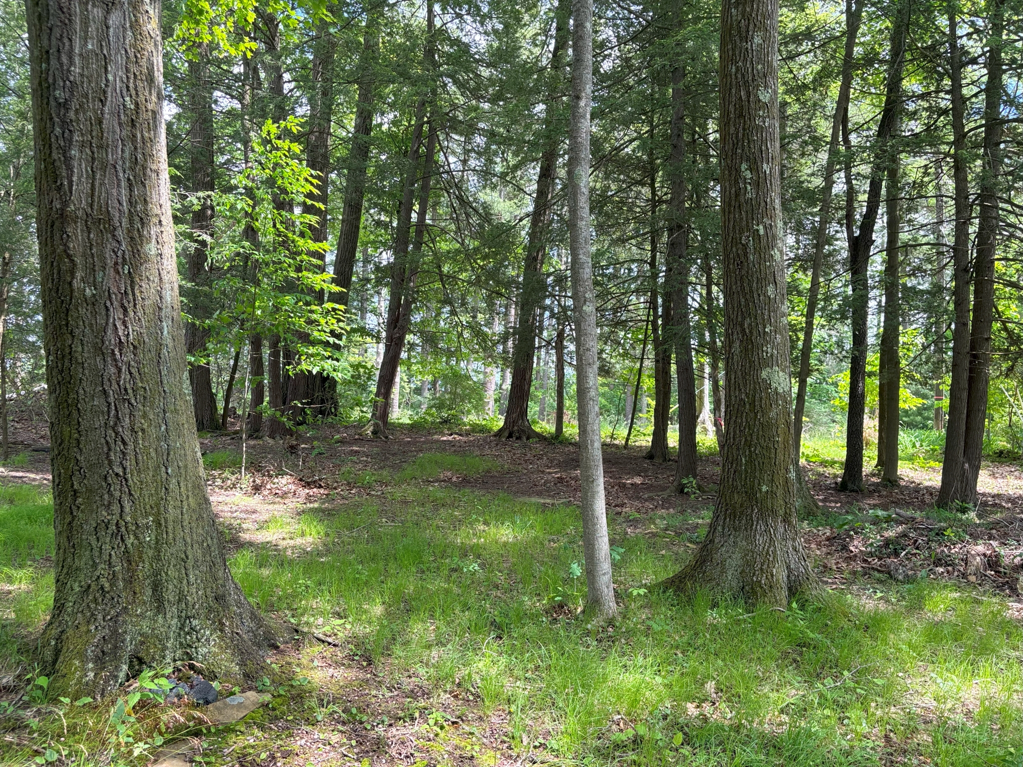 Prince Gallitzin Get-Away