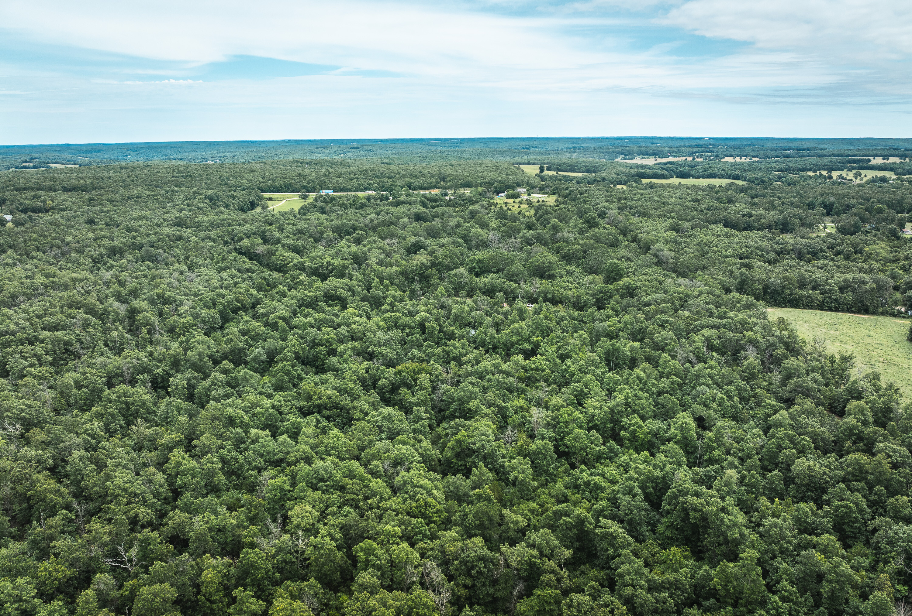 Phelps County Land & Timber 2 Tracts