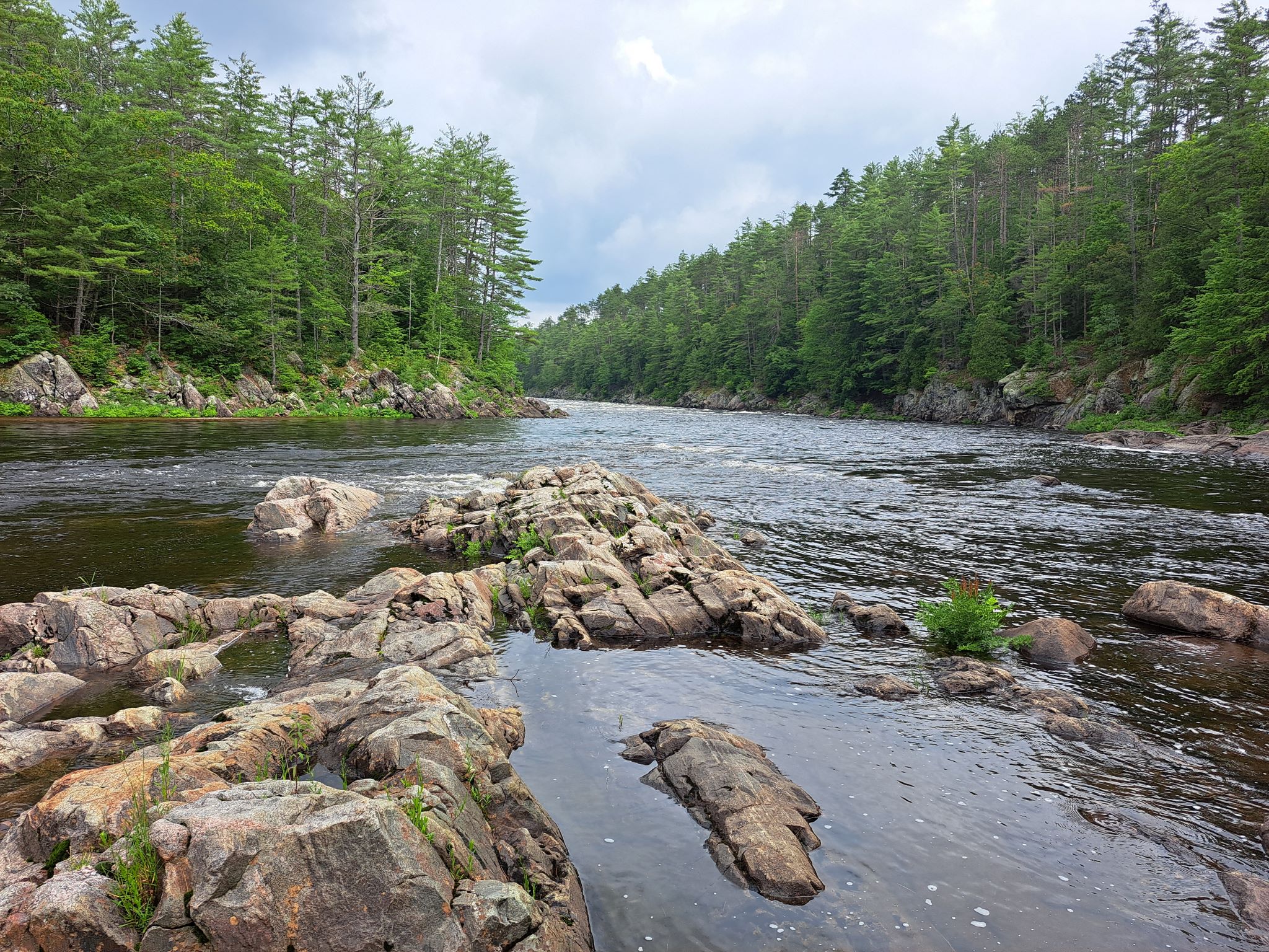 Hudson River Woods & Water